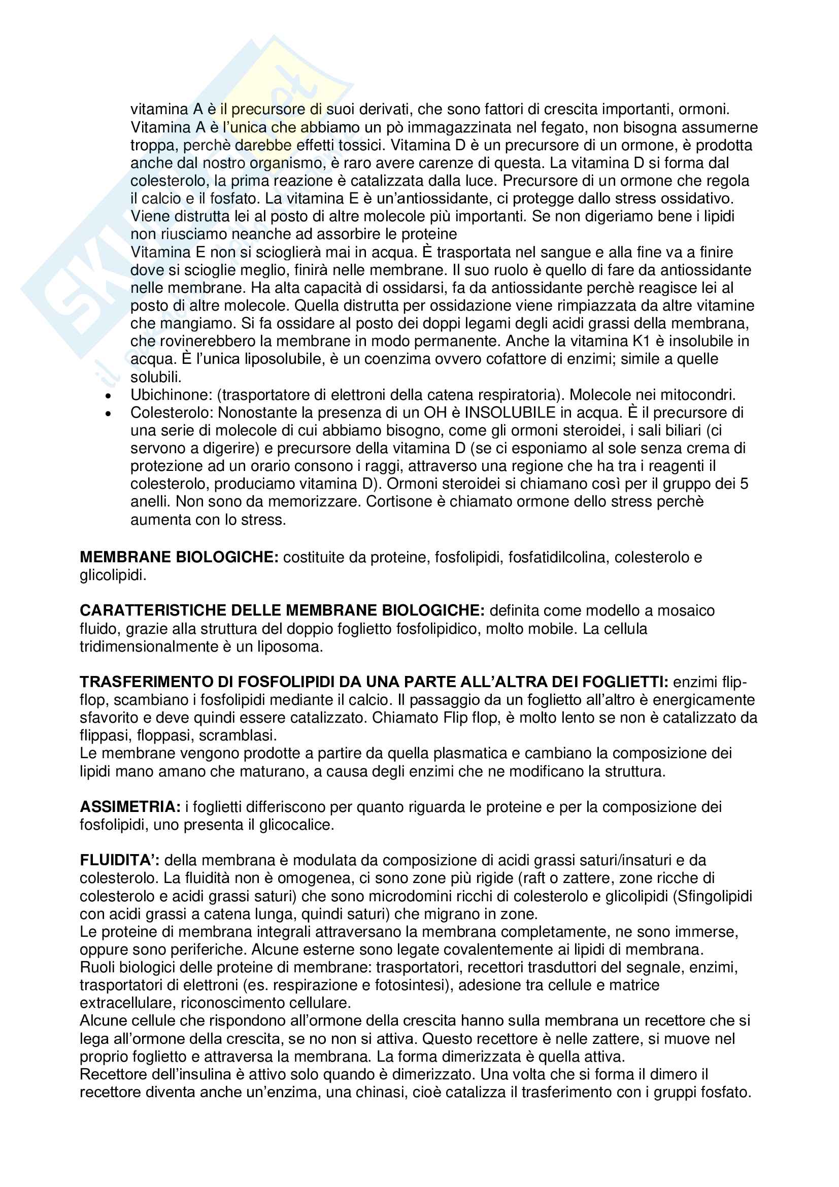 Biochimica veterinaria Pag. 16