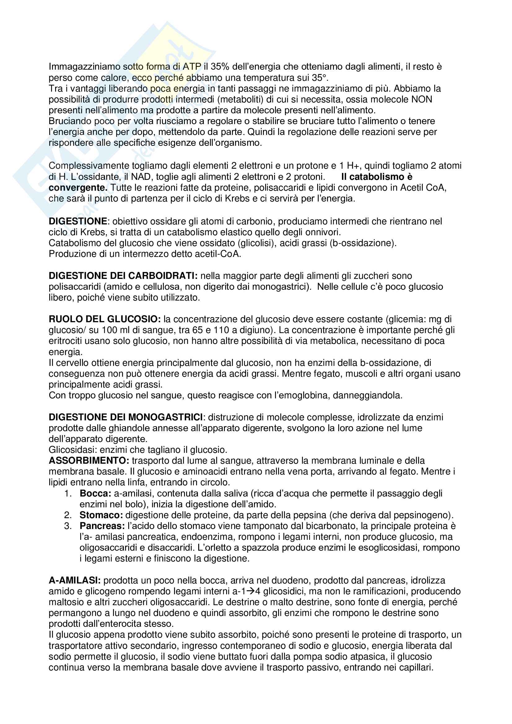 Biochimica veterinaria Pag. 21