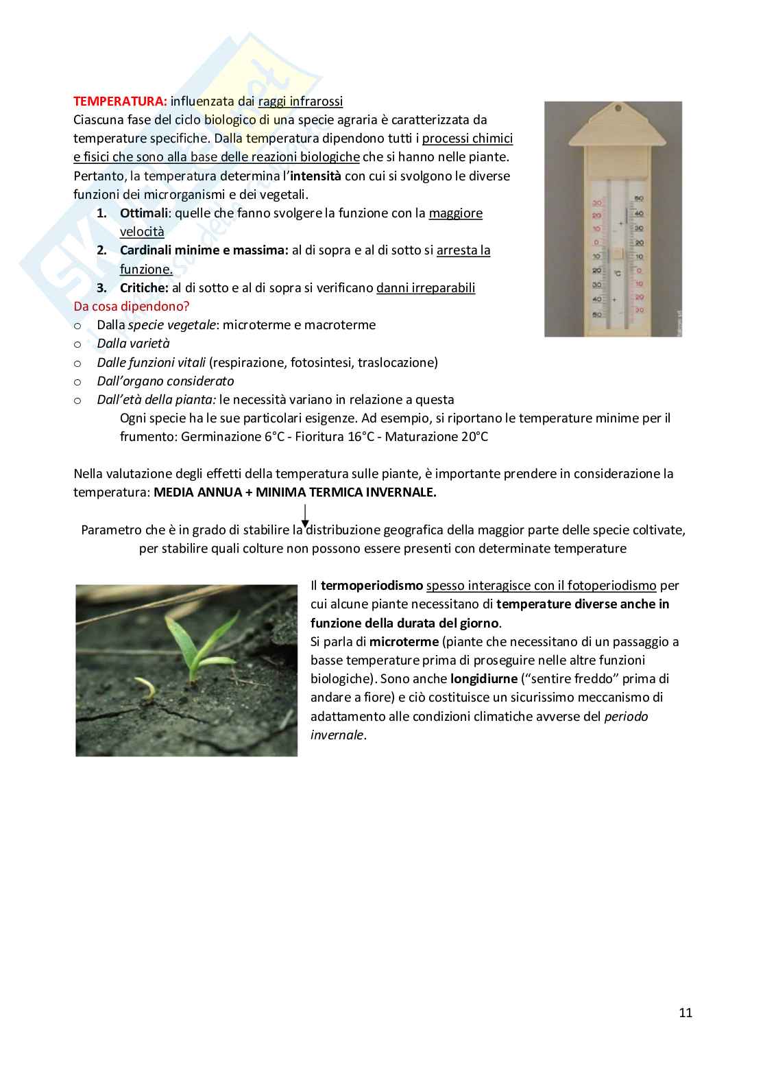 Appunti esame Produzioni vegetali Pag. 11
