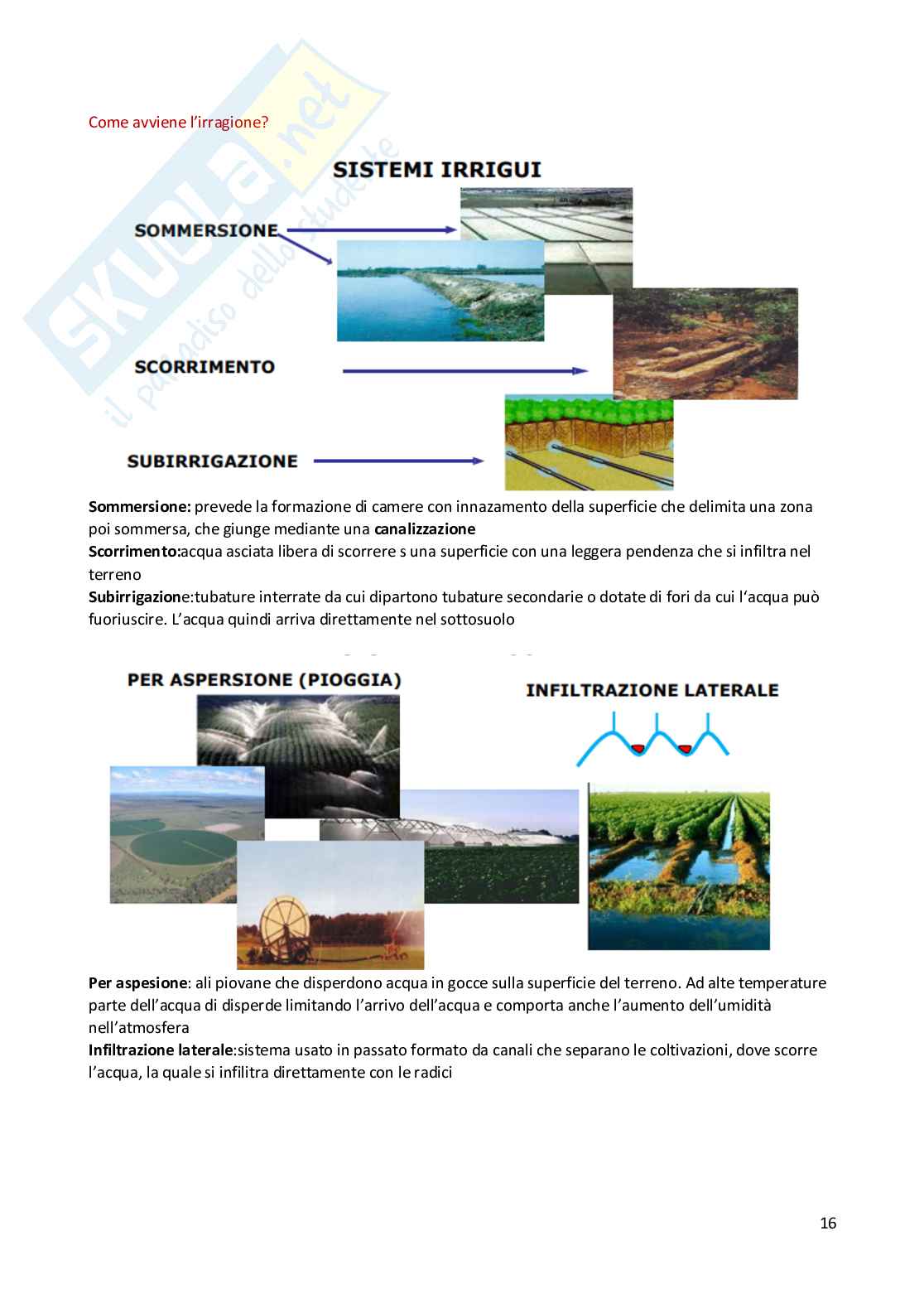 Appunti esame Produzioni vegetali Pag. 16