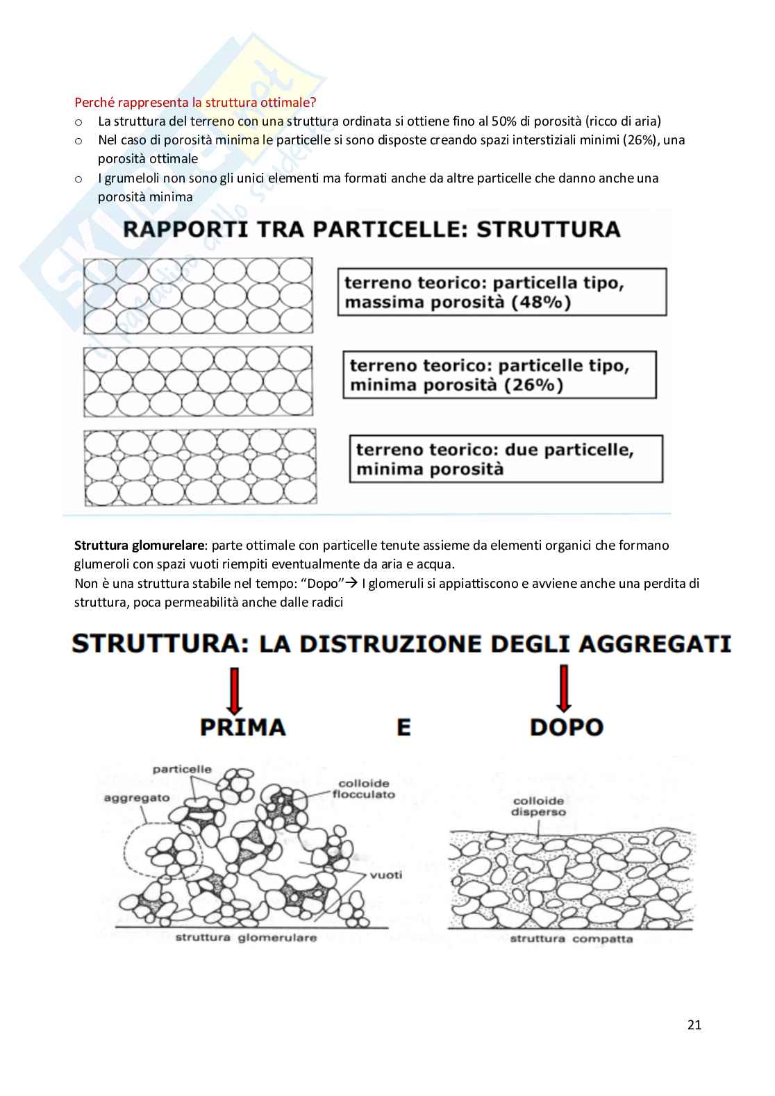 Appunti esame Produzioni vegetali Pag. 21