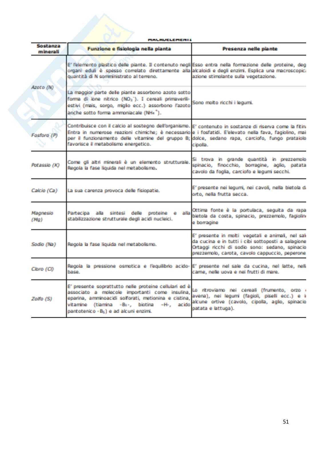 Appunti esame Produzioni vegetali Pag. 51
