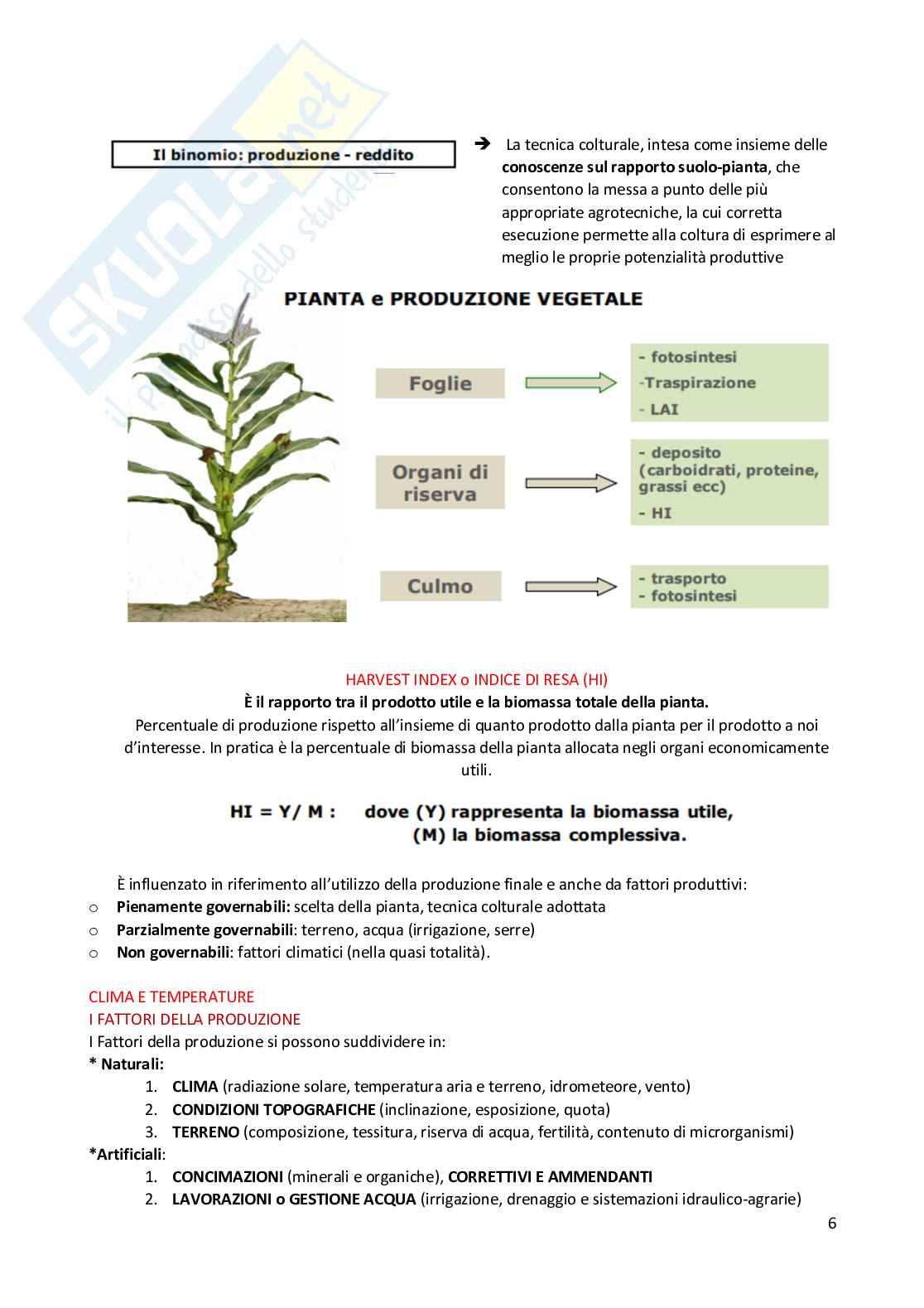 Appunti esame Produzioni vegetali Pag. 6