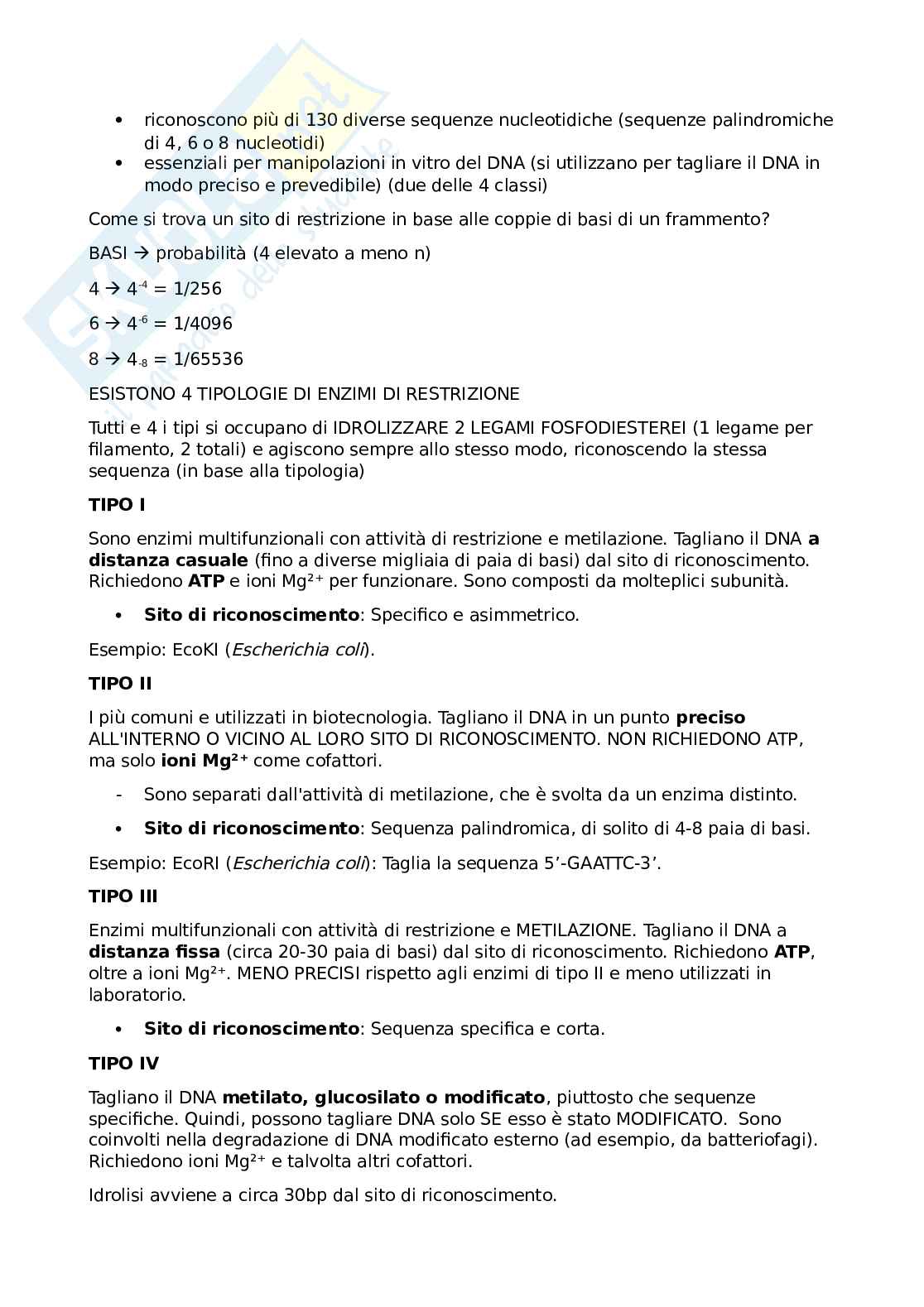 Appunti completi Biologia molecolare ed applicata  Pag. 46
