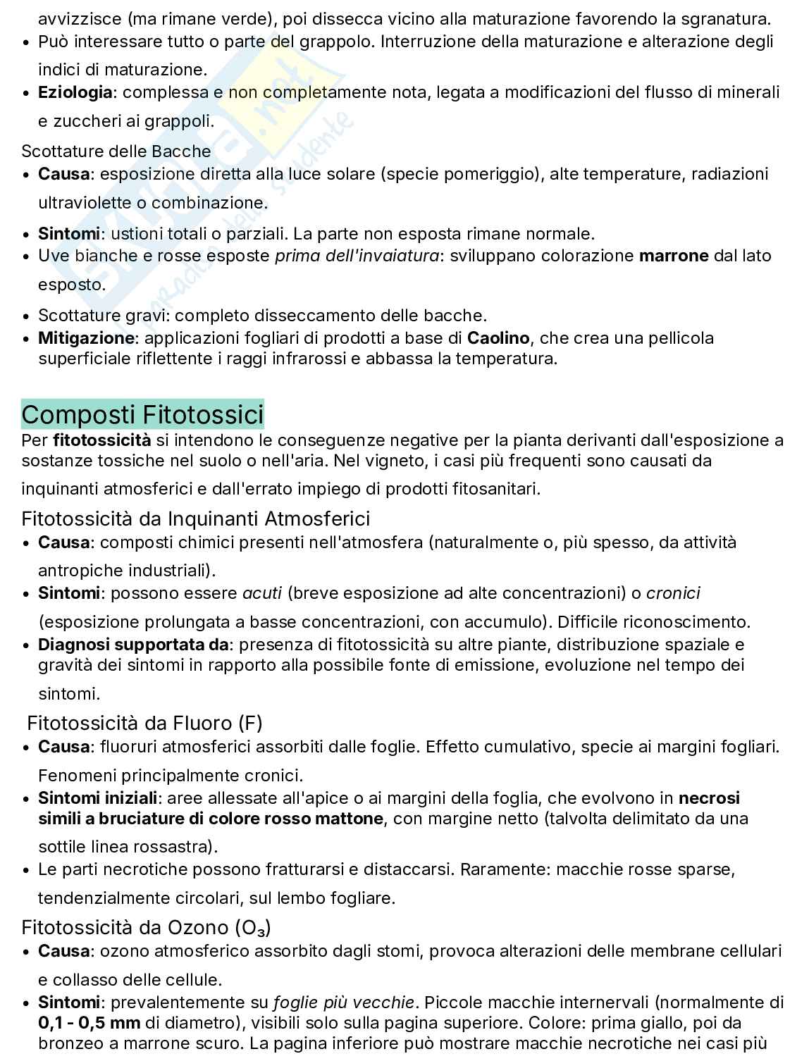 Appunti Patologia della vite Pag. 31