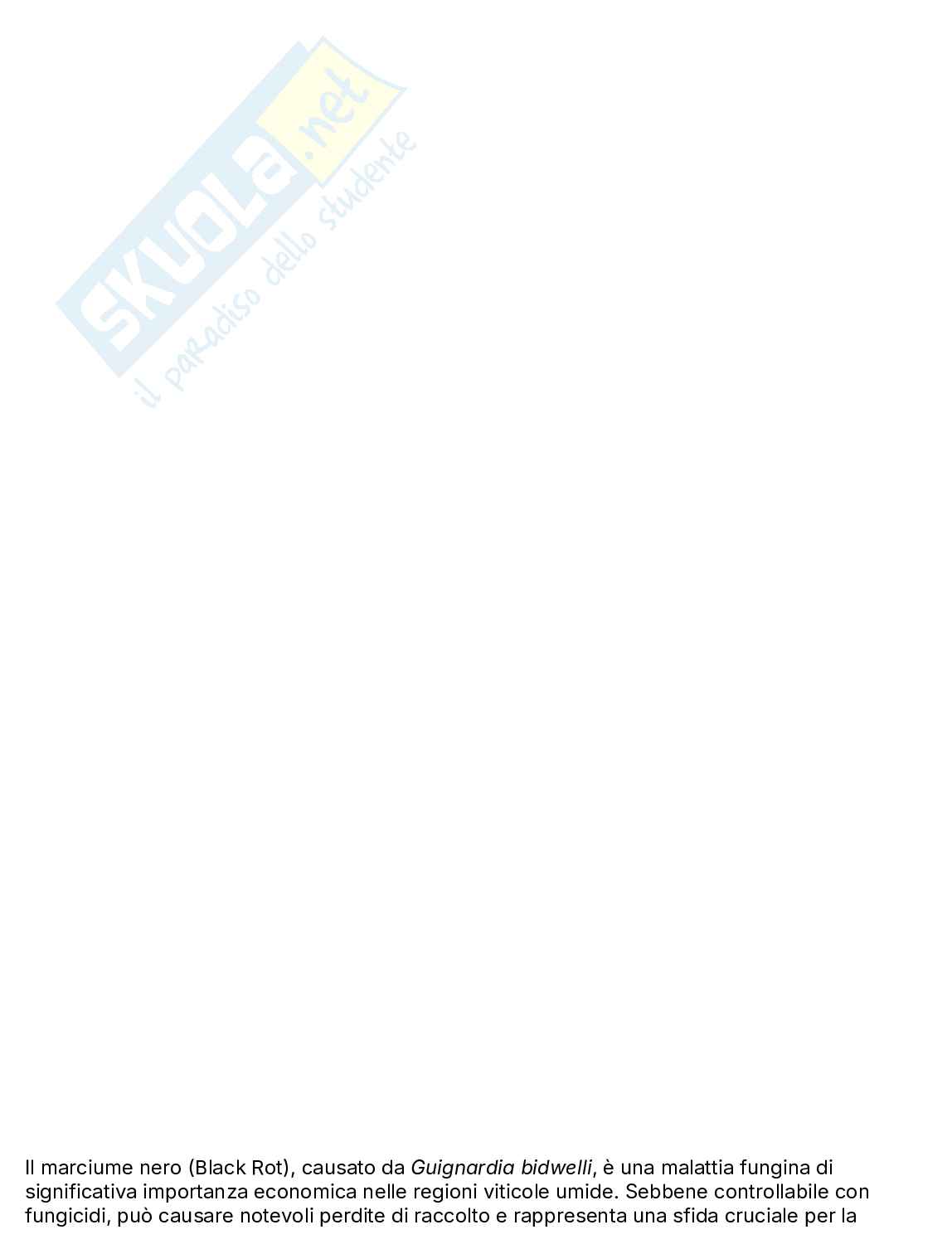 Appunti Patologia della vite Pag. 61