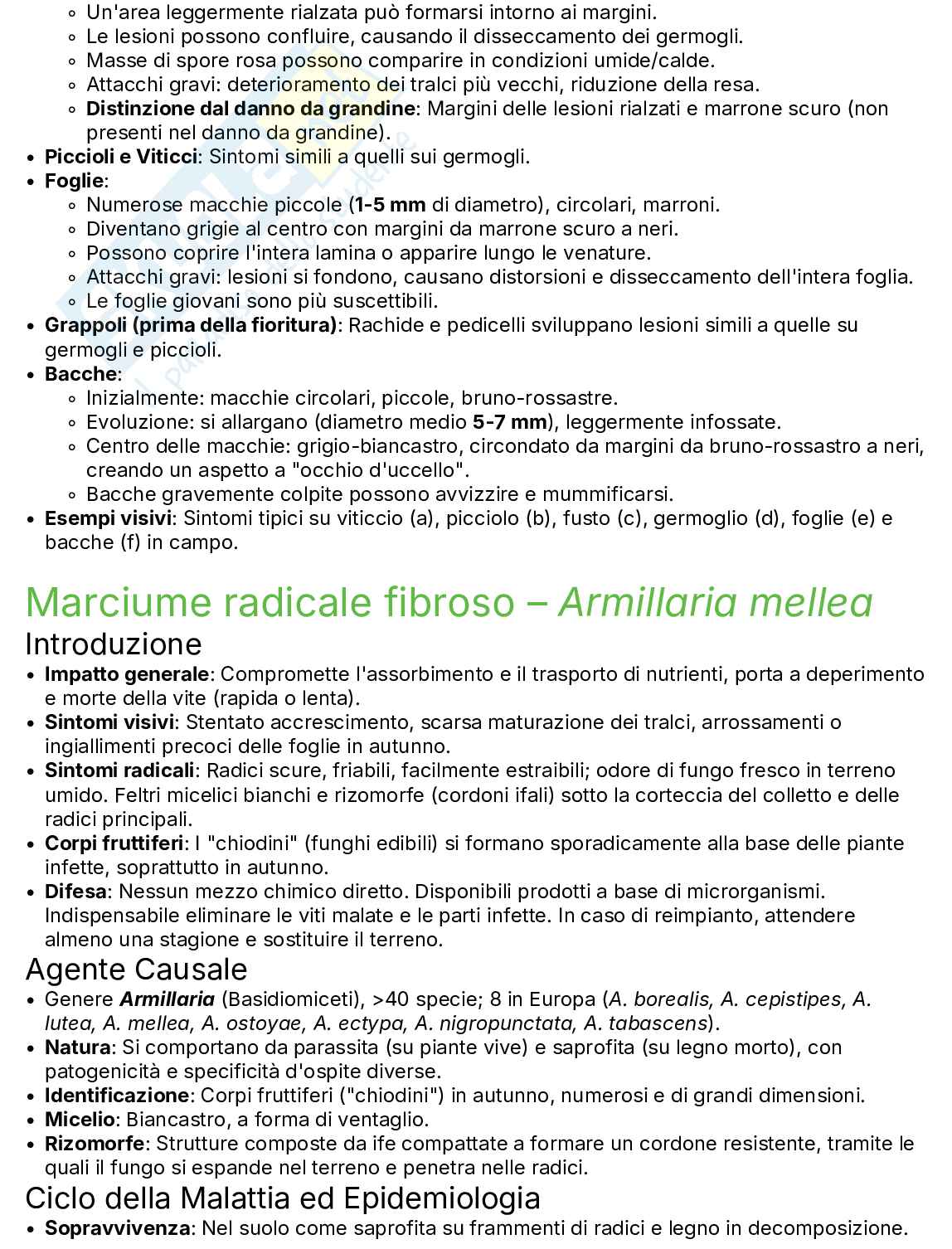 Appunti Patologia della vite Pag. 71