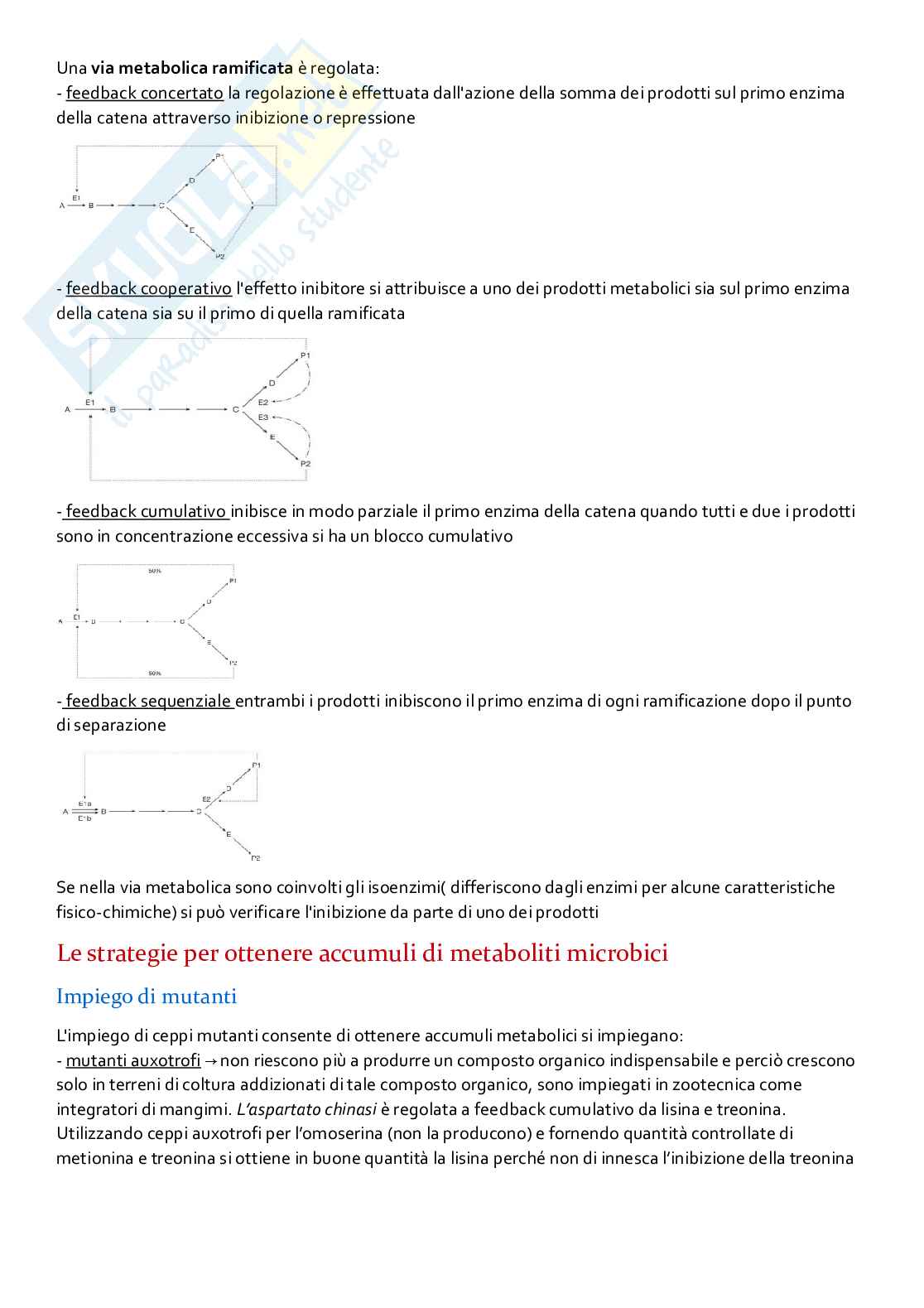 Agire sul DNA  Pag. 16