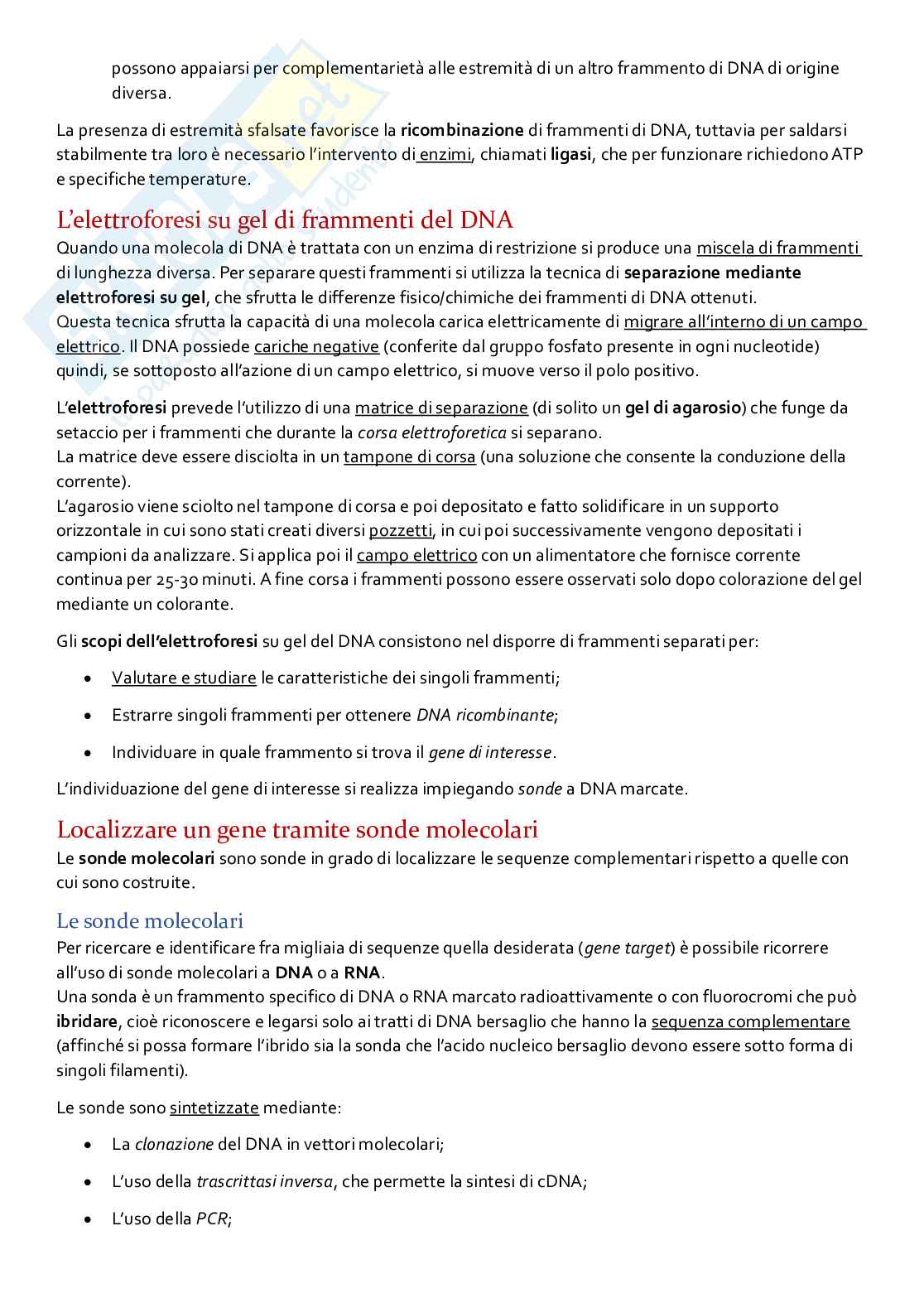 Agire sul DNA  Pag. 2