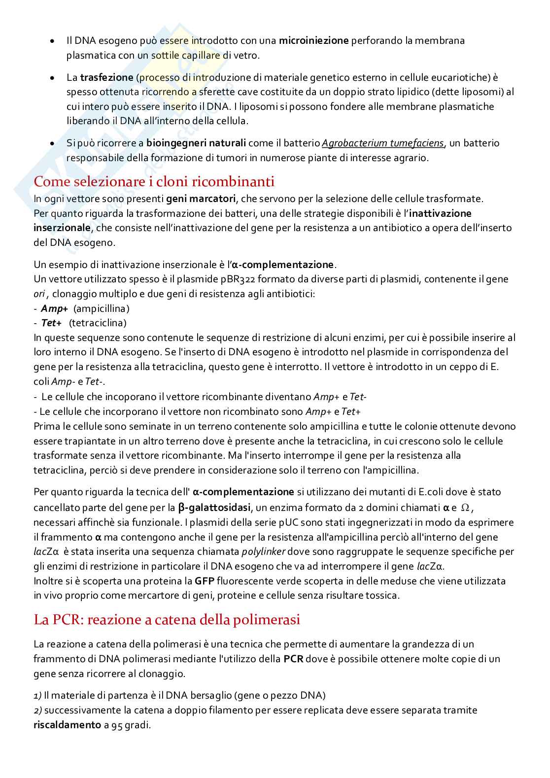 Agire sul DNA  Pag. 6
