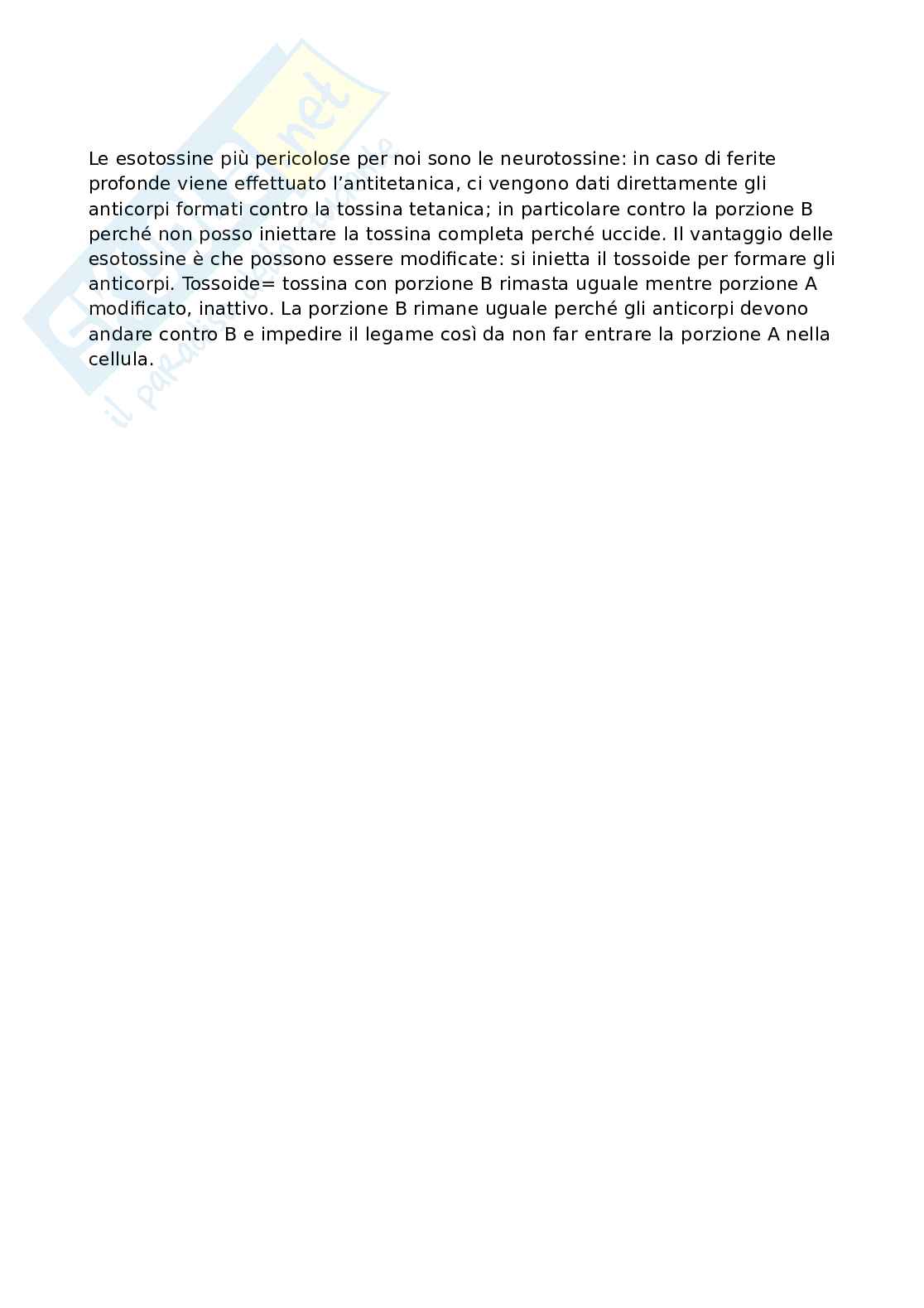 Postulati Pag. 6