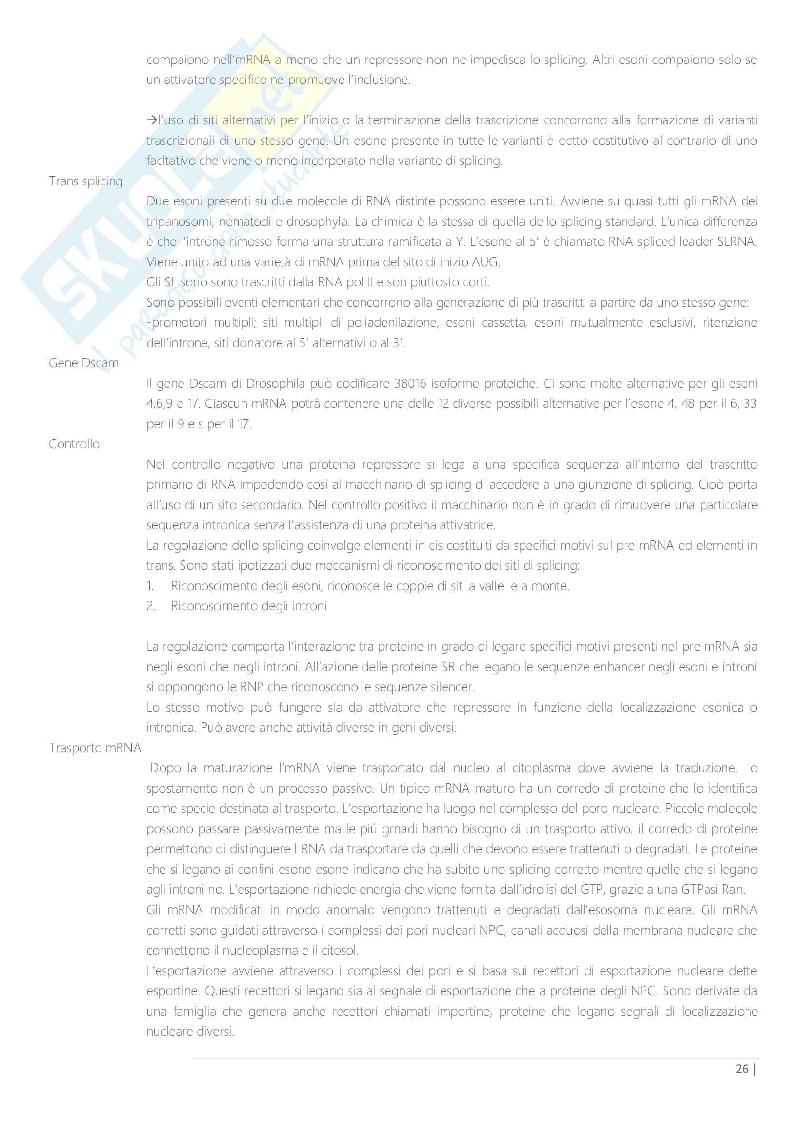 Schemi integrati con slide di biologia molecolare Pag. 26