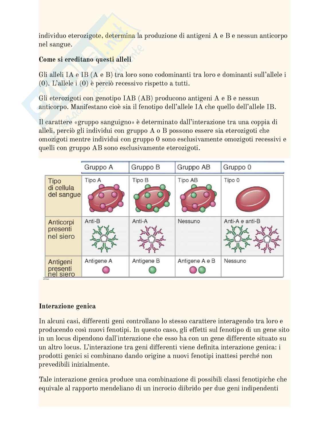 Genetica mendeliana e le sue estensioni  Pag. 11