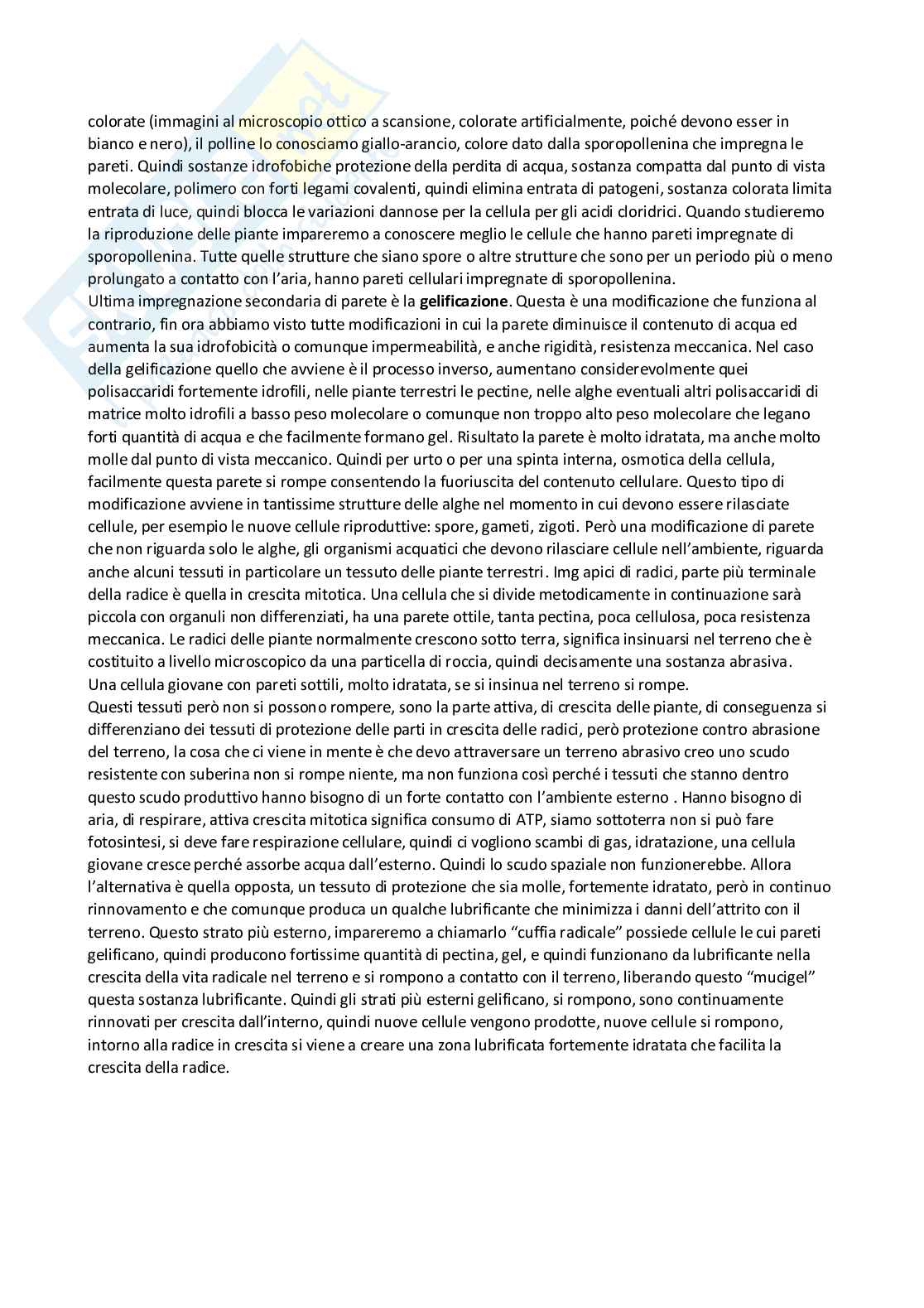 Appunti di Botanica Generale Pag. 31