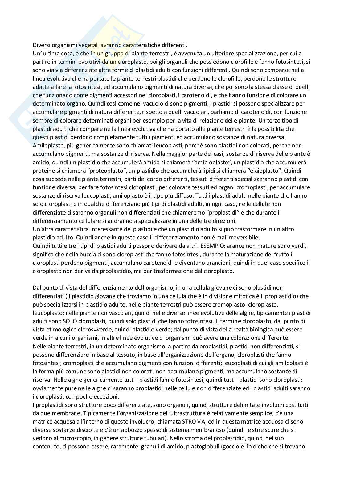 Appunti di Botanica Generale Pag. 46