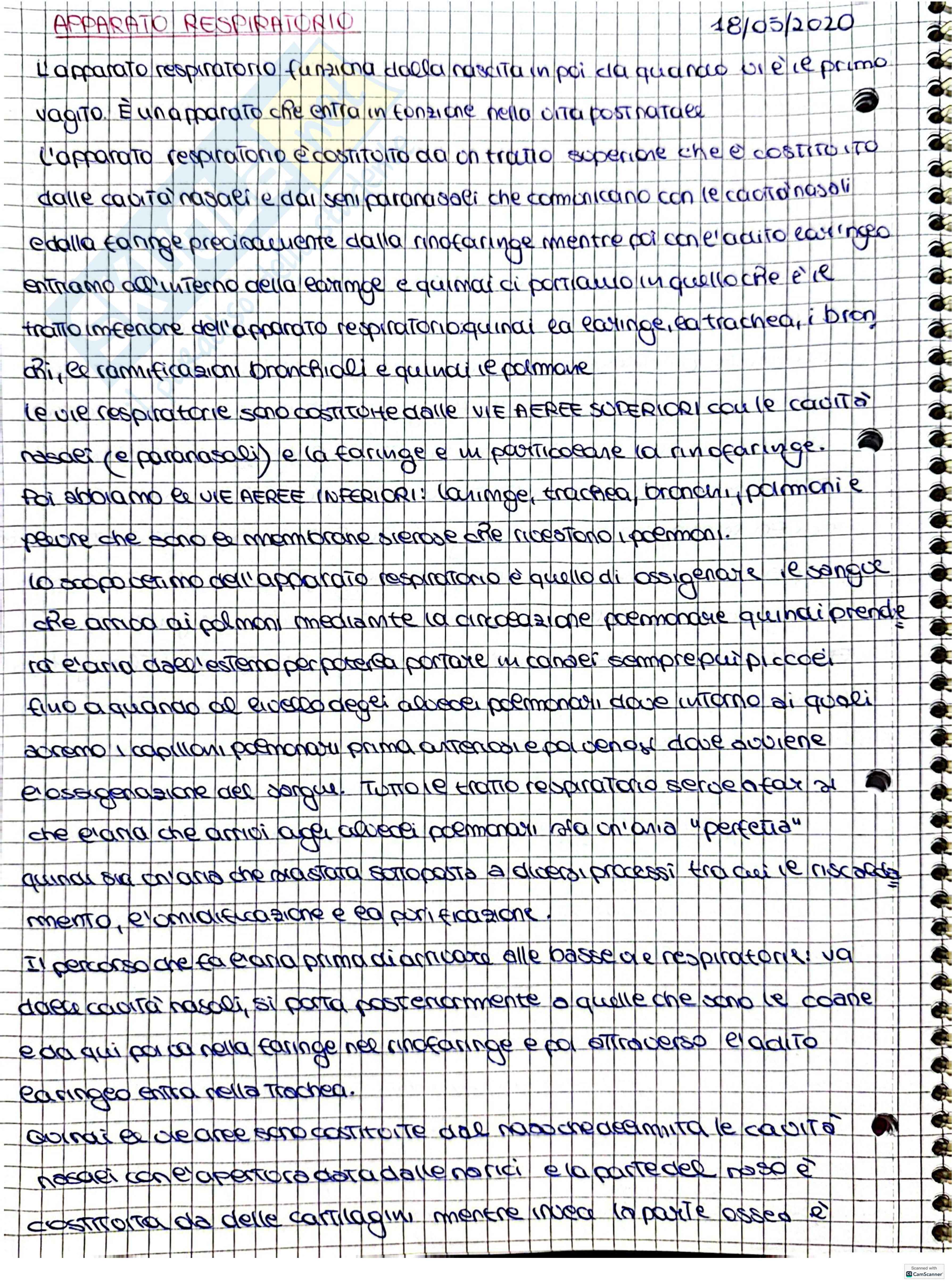 Apparato respiratorio Pag. 1