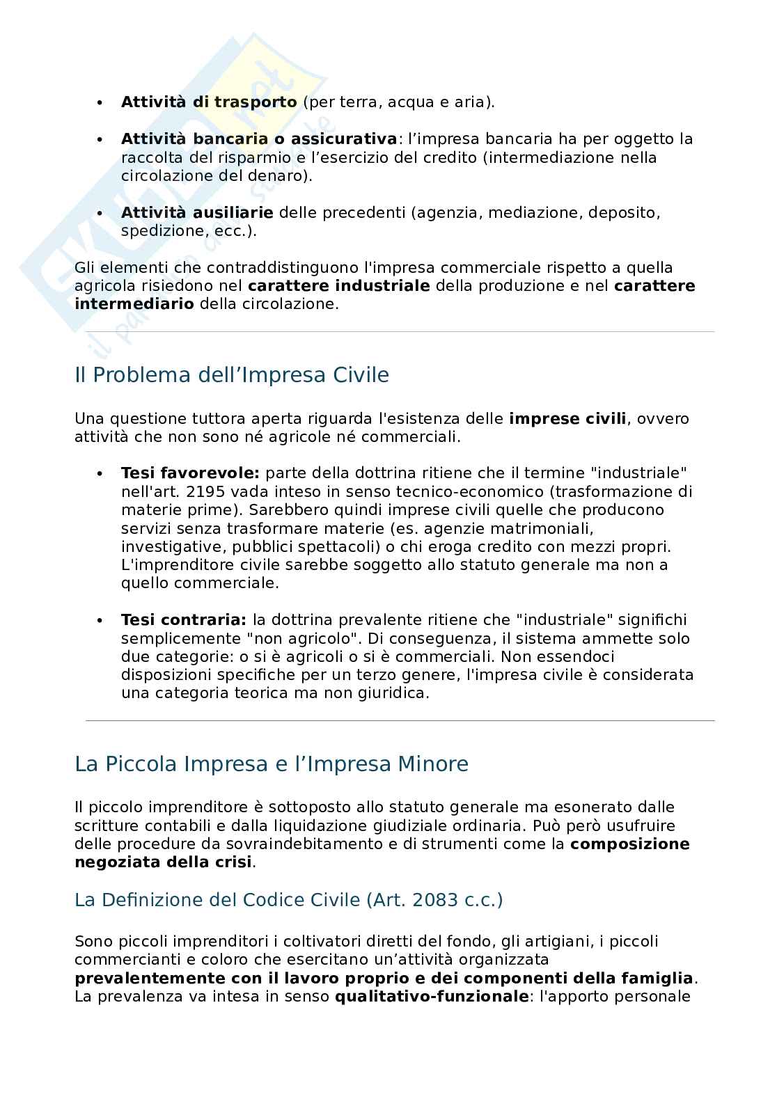 Appunti di Diritto commerciale 1  Pag. 6