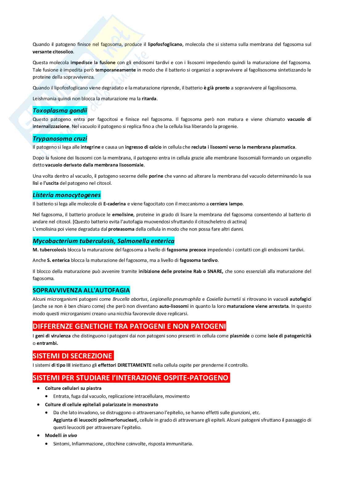 Appunti di Biologia cellulare Pag. 51