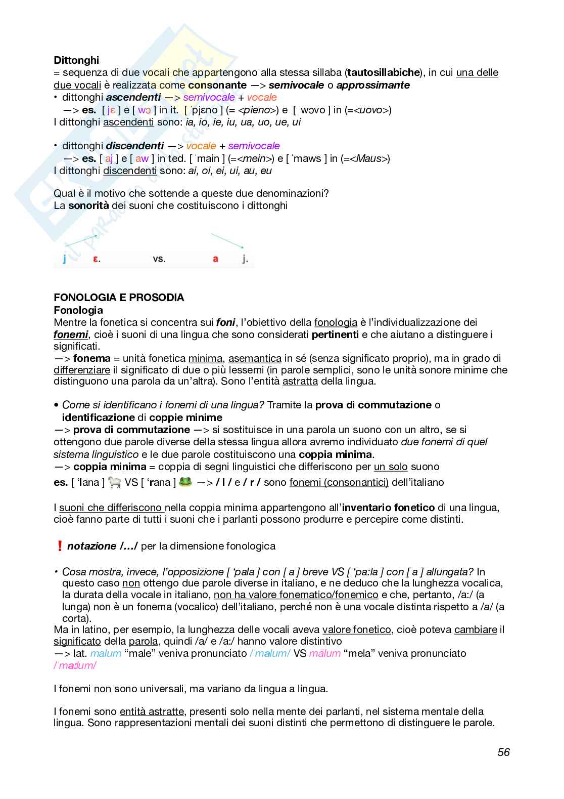 Linguistica generale e glottologia Pag. 56