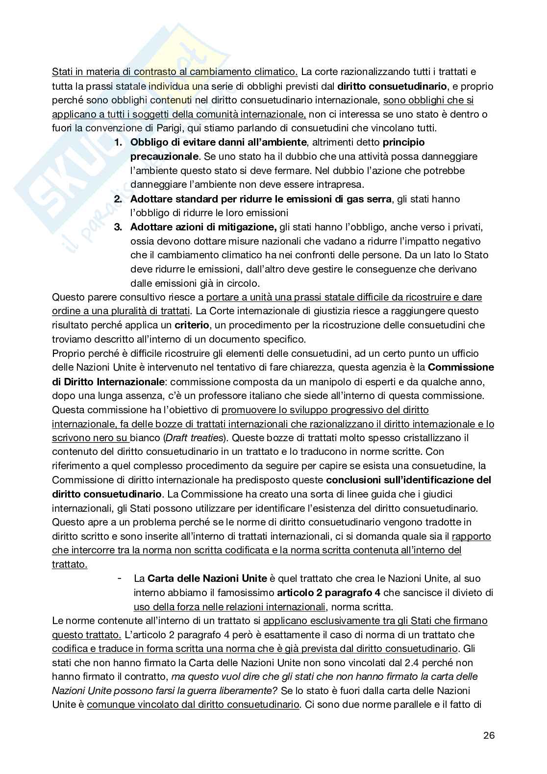Diritto Internazionale Pag. 26