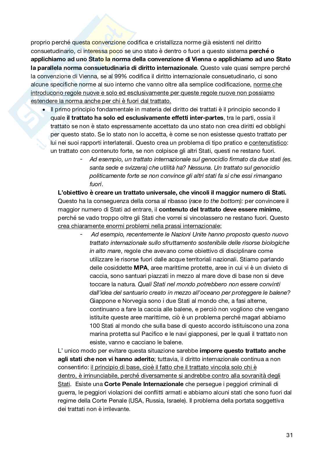 Diritto Internazionale Pag. 31