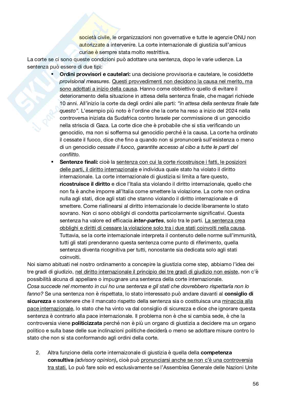 Diritto Internazionale Pag. 56