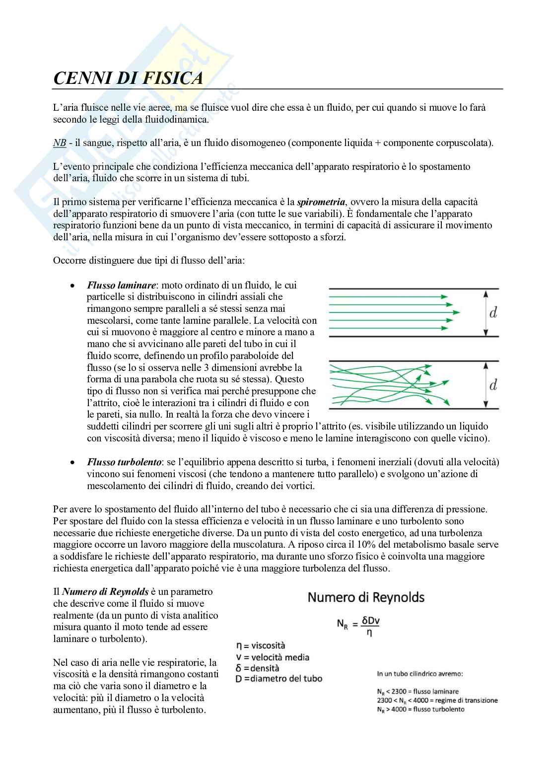 Fisiologia 2 (Apparato Respiratorio) Pag. 11
