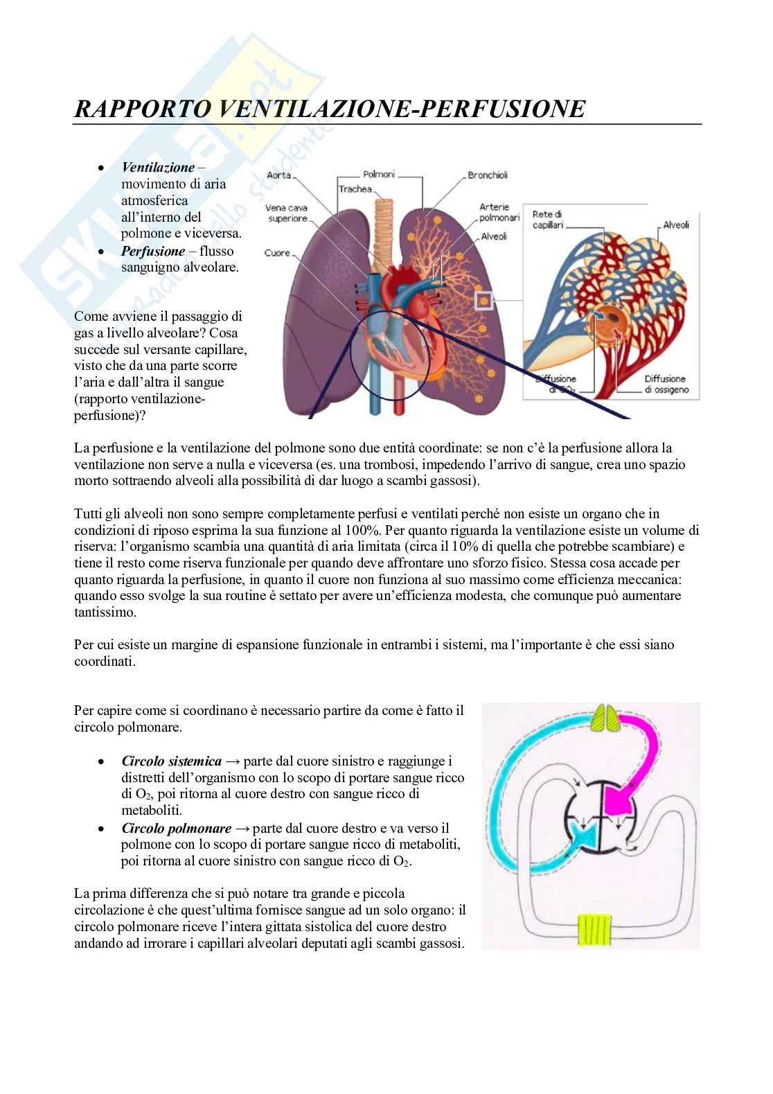 Fisiologia 2 (Apparato Respiratorio) Pag. 41