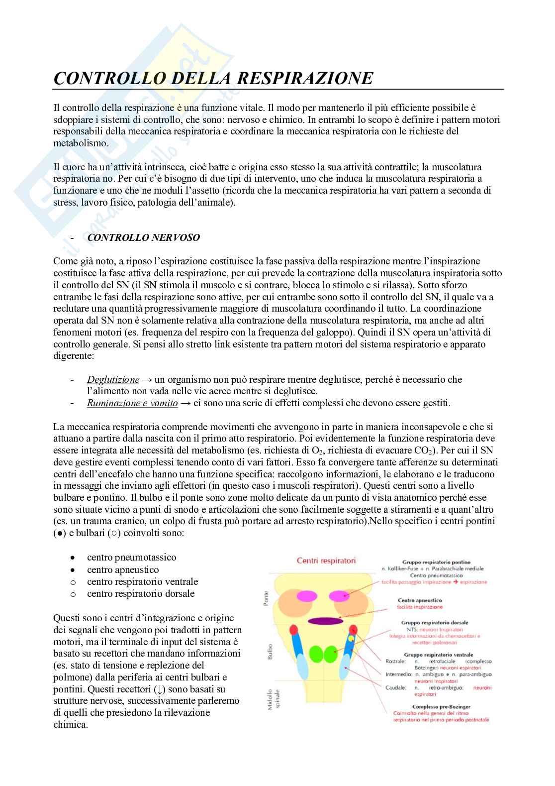 Fisiologia 2 (Apparato Respiratorio) Pag. 61
