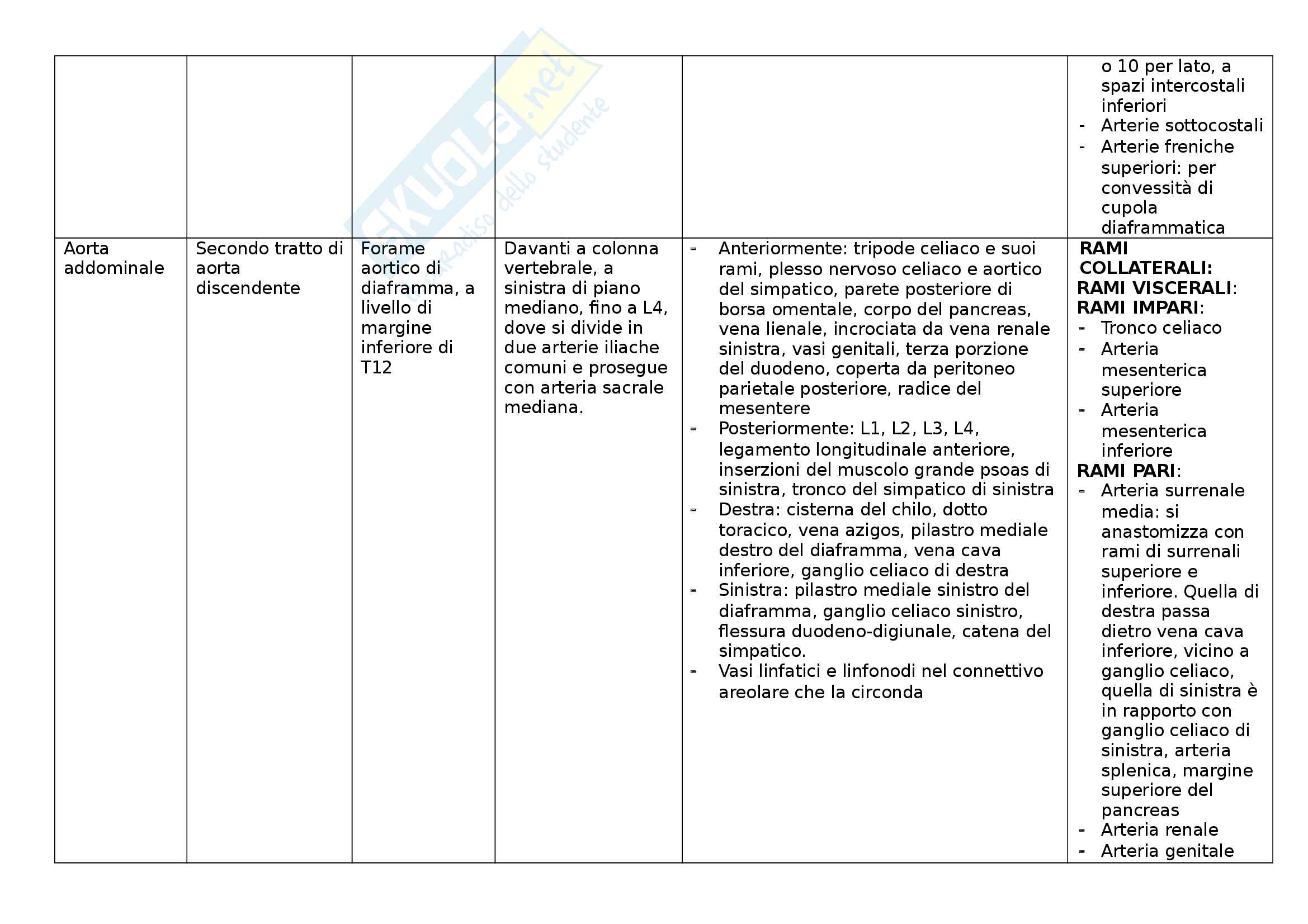 Arterie - Tabella delle arterie, divise per sedi. Indicazione di origine, posizione, rami Pag. 21