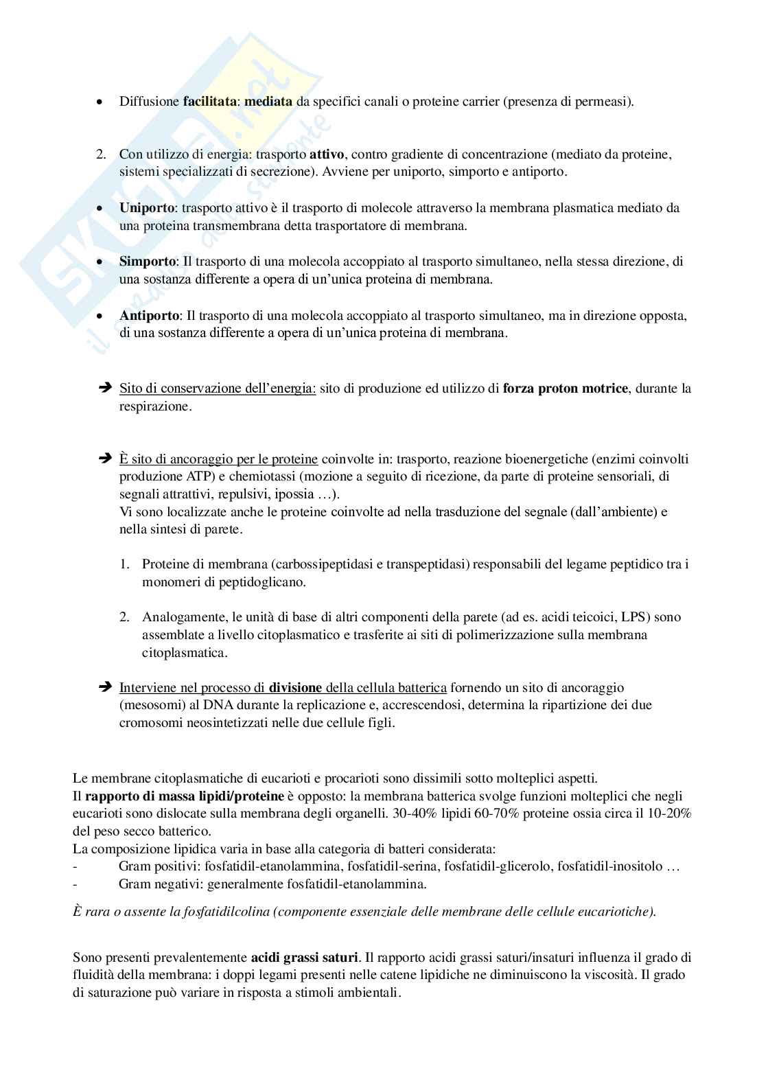 Microbiologia Pag. 26