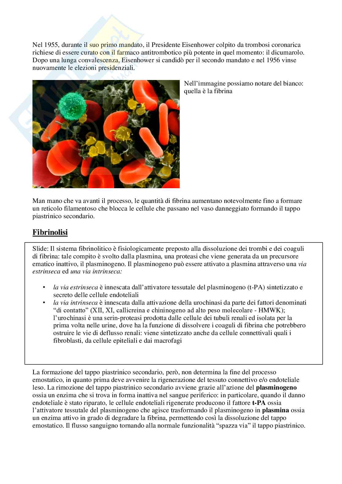 Appunti di Patologia clinica 2024,  (2 moduli)   Pag. 41