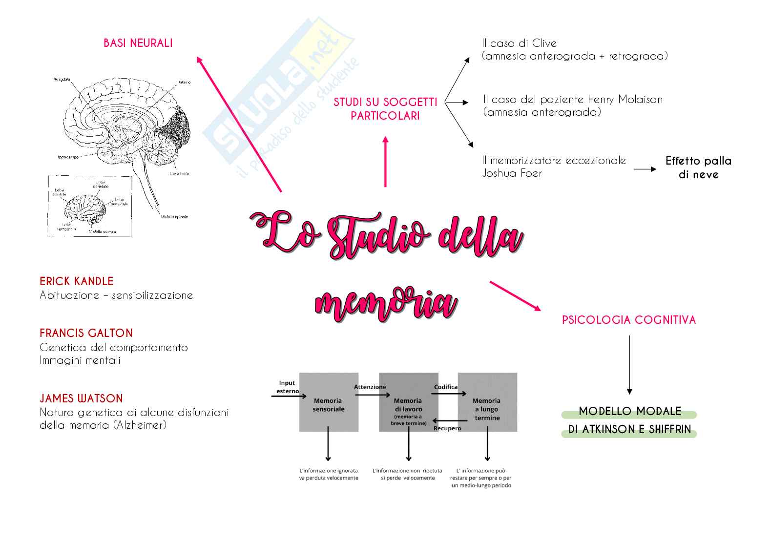 Mappe concettuali di psicologia dell'apprendimento e della memoria Pag. 2