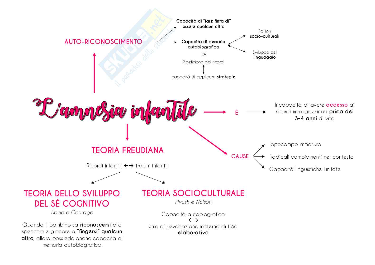 Mappe concettuali di psicologia dell'apprendimento e della memoria Pag. 21