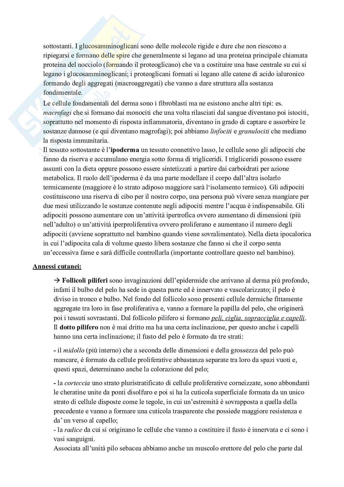 Riassunto esame Prodotti cosmetici, Prof. Manconi Maria, libro consigliato Cosmetologia: dalla dermocosmesi funzionale alla cosmeceutica , Borellini Pag. 16