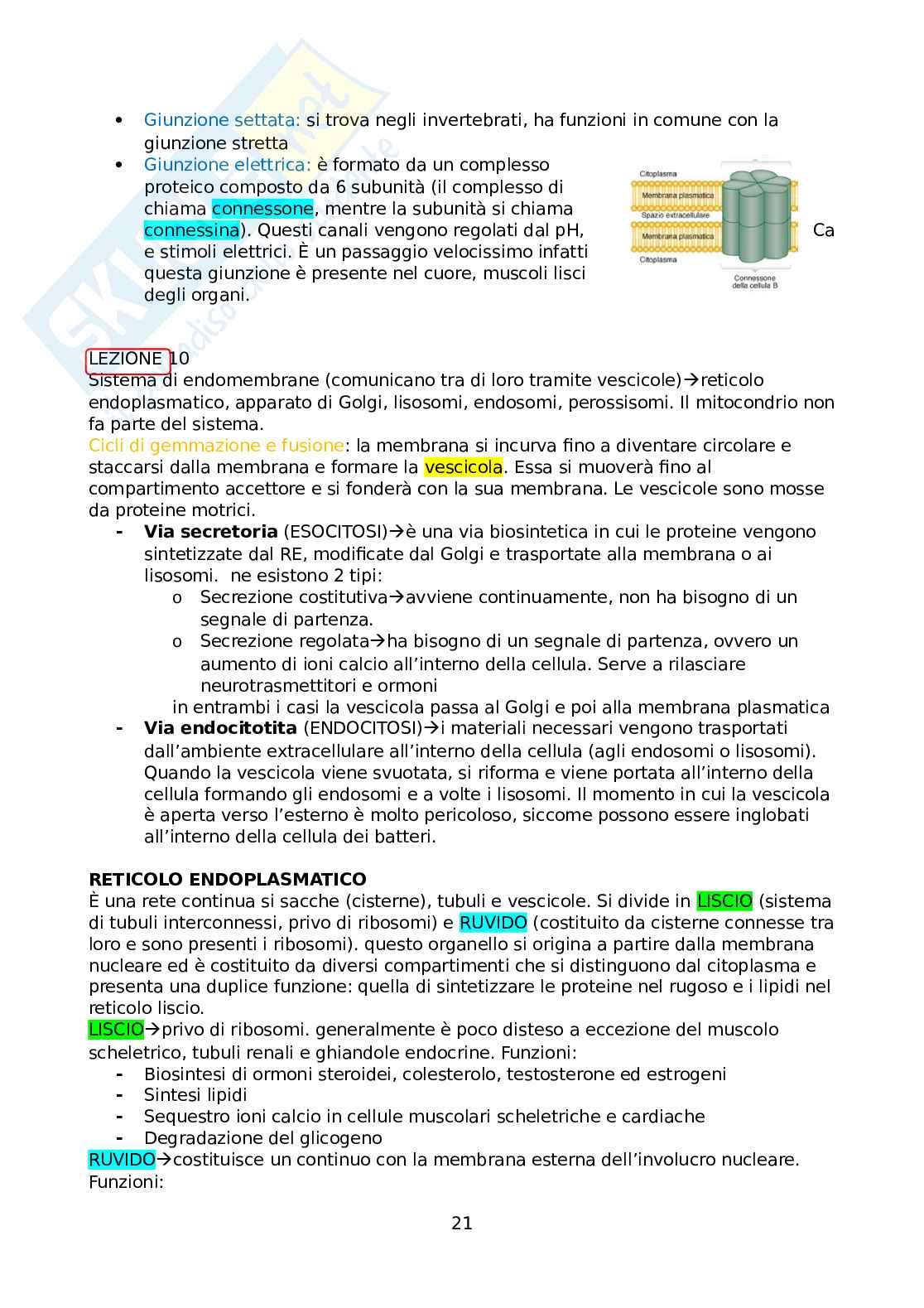 Appunti di biologia animale e fisiologia cellulare Pag. 21