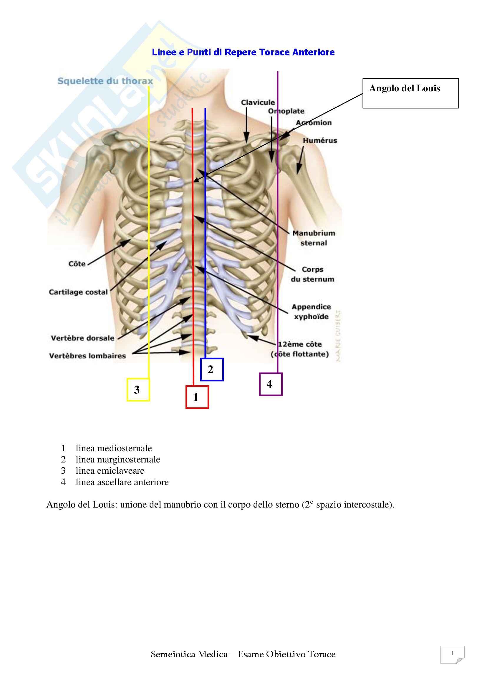 Semeiotica Medica - Figure utili Pag. 16