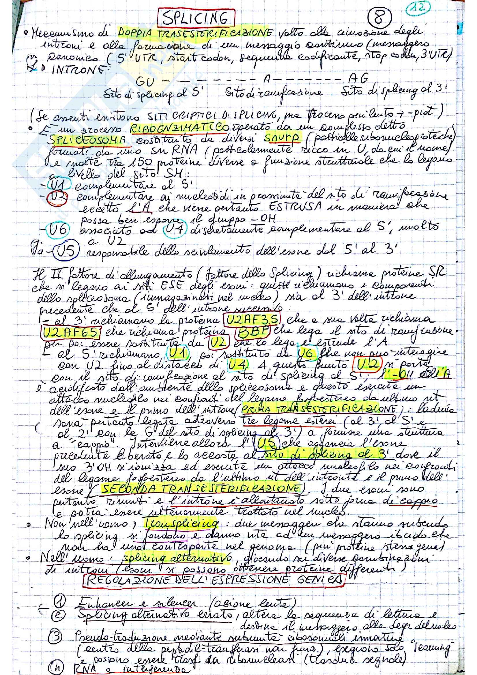 Esame biologia molecolare Pag. 11