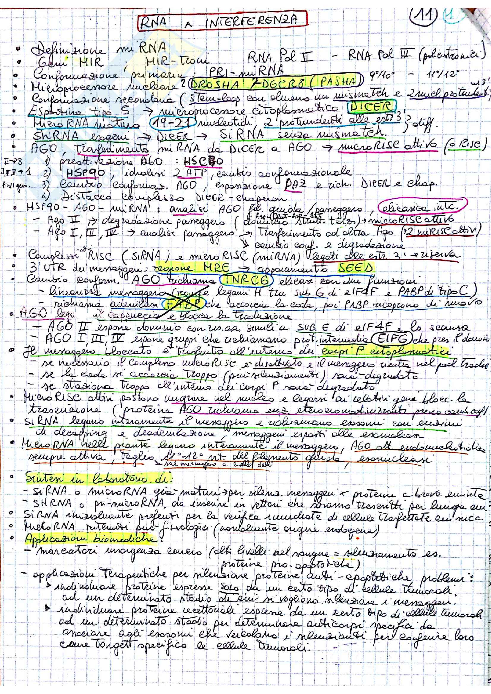 Esame biologia molecolare Pag. 16