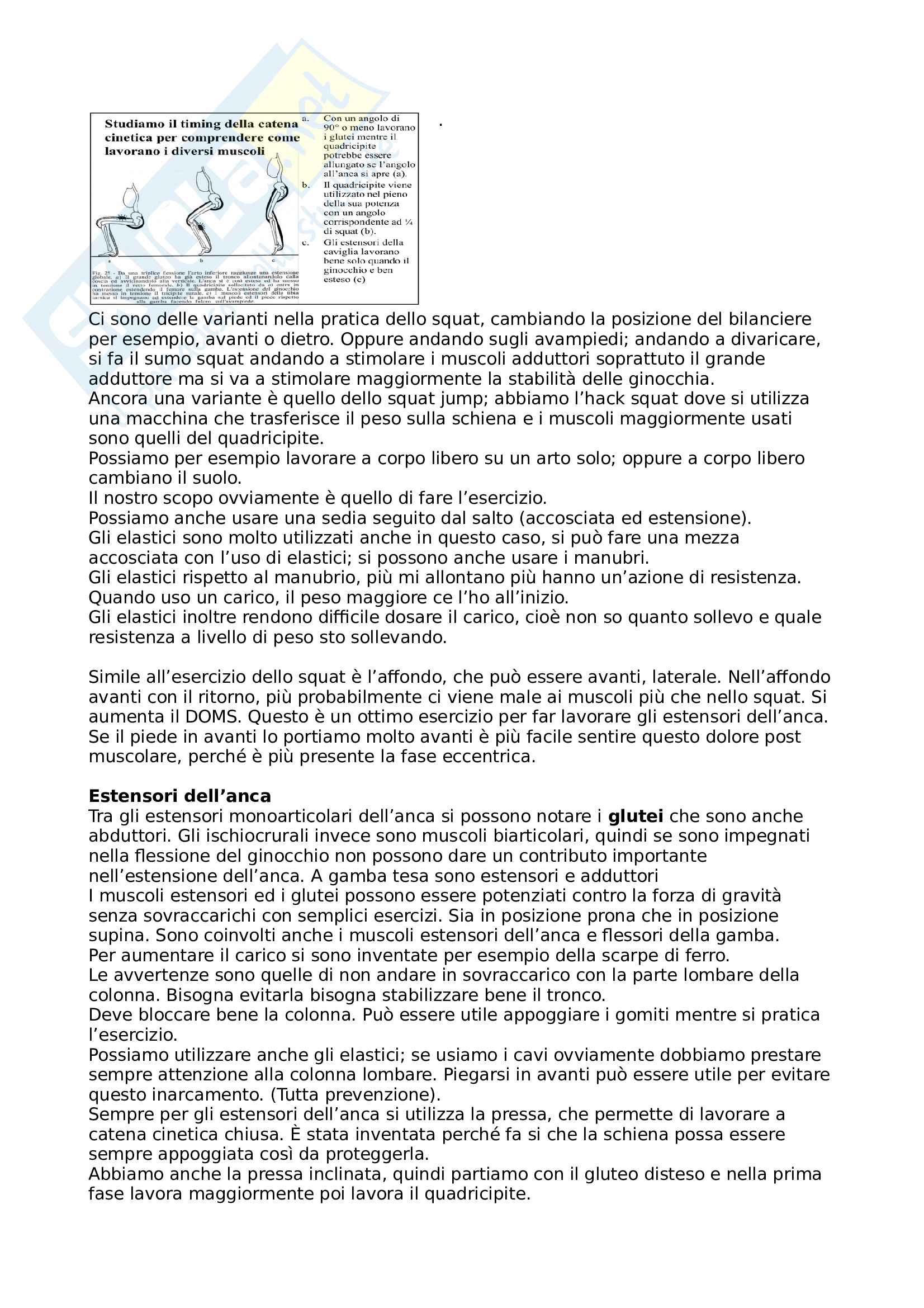 Teoria E Metodologia Dell Allenamento