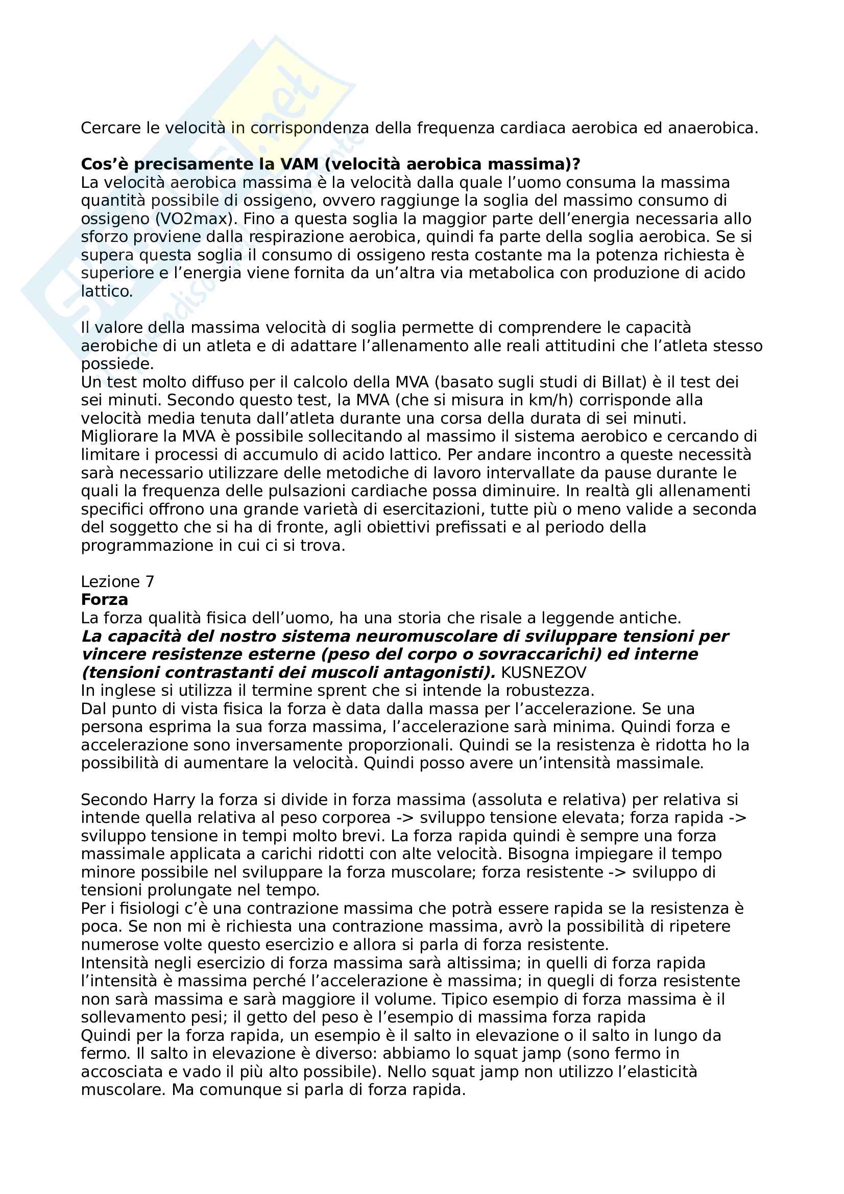 Teoria E Metodologia Dell Allenamento