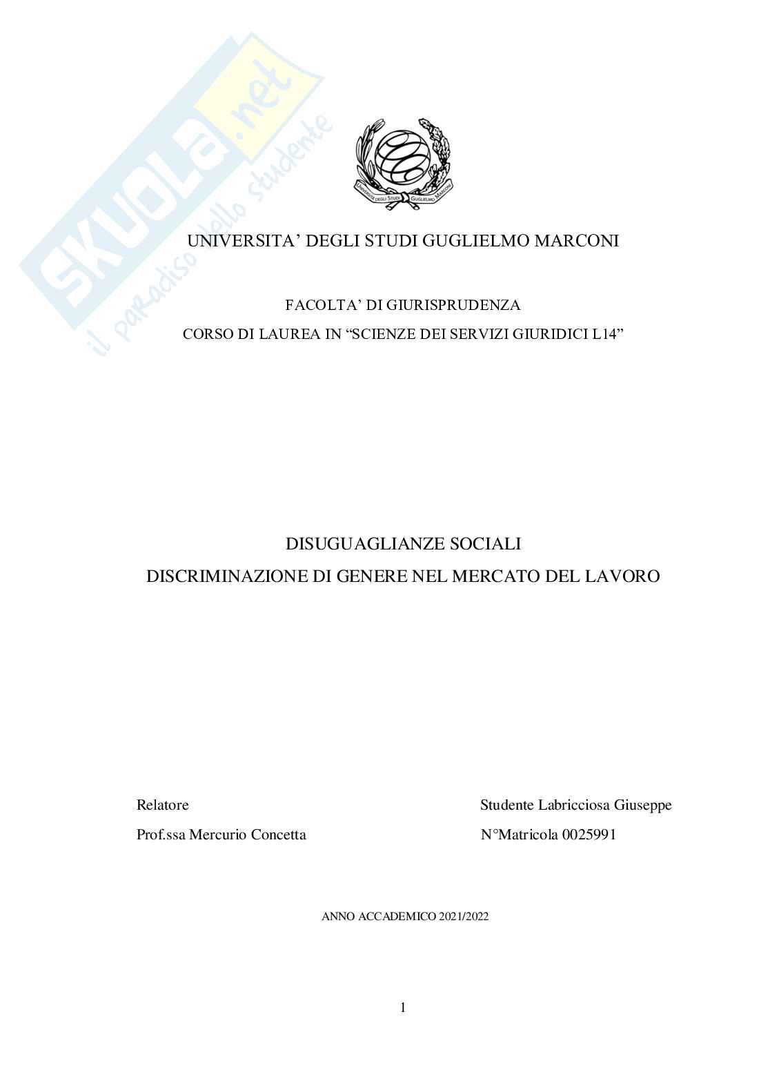 Disuguaglianze sociali - Discriminazione di genere nel mercato del lavoro Pag. 1