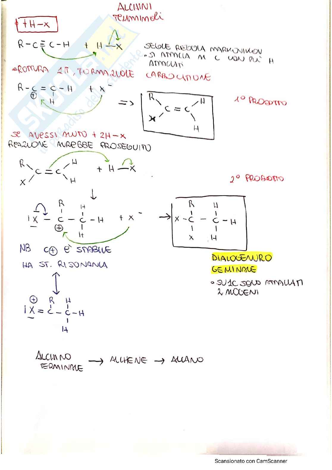 Reazioni alchini Pag. 1