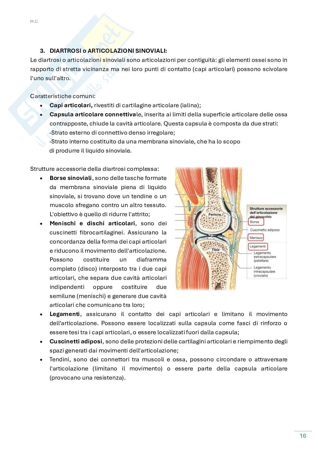 Anatomia umana  Pag. 16