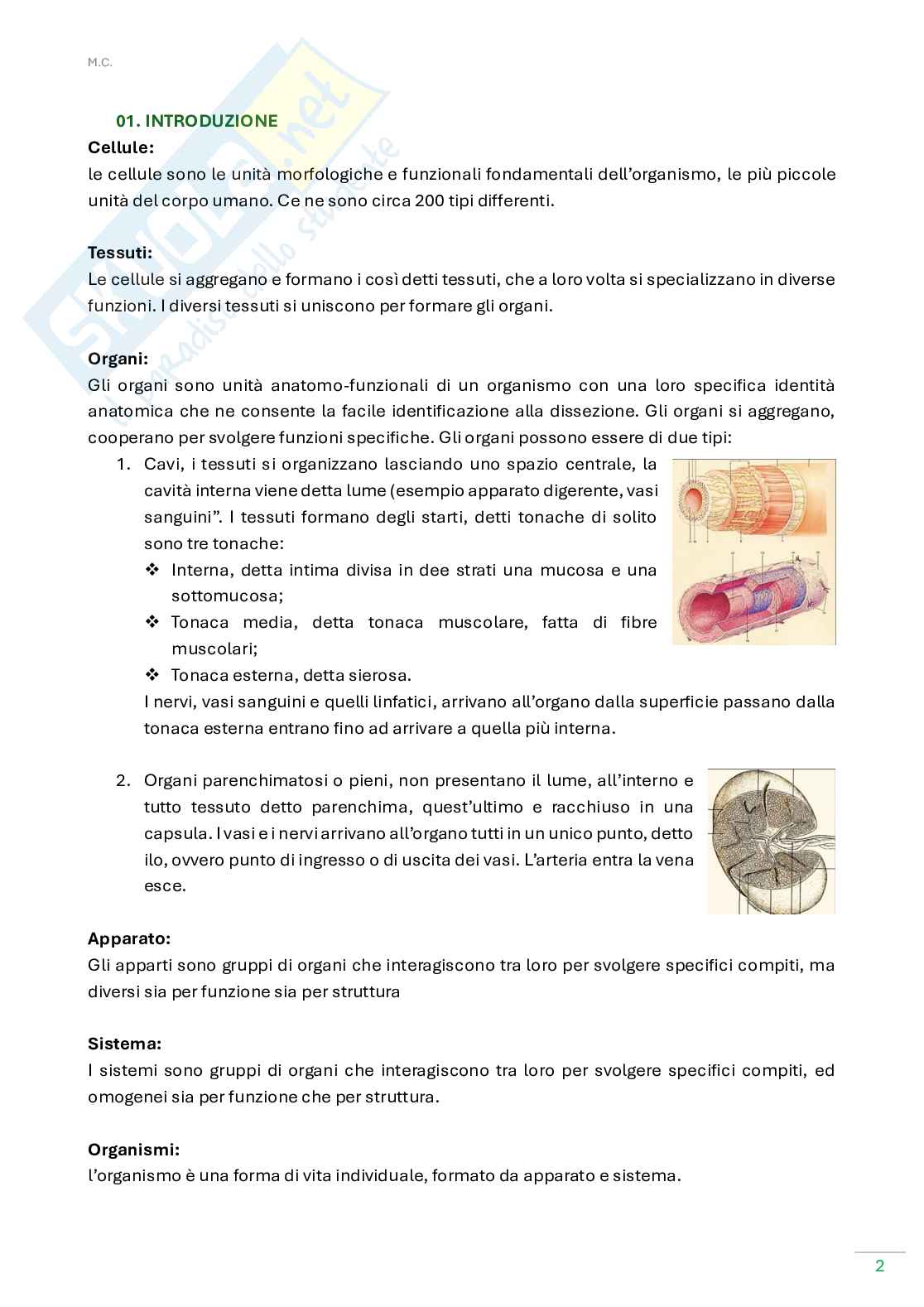 Anatomia umana  Pag. 2