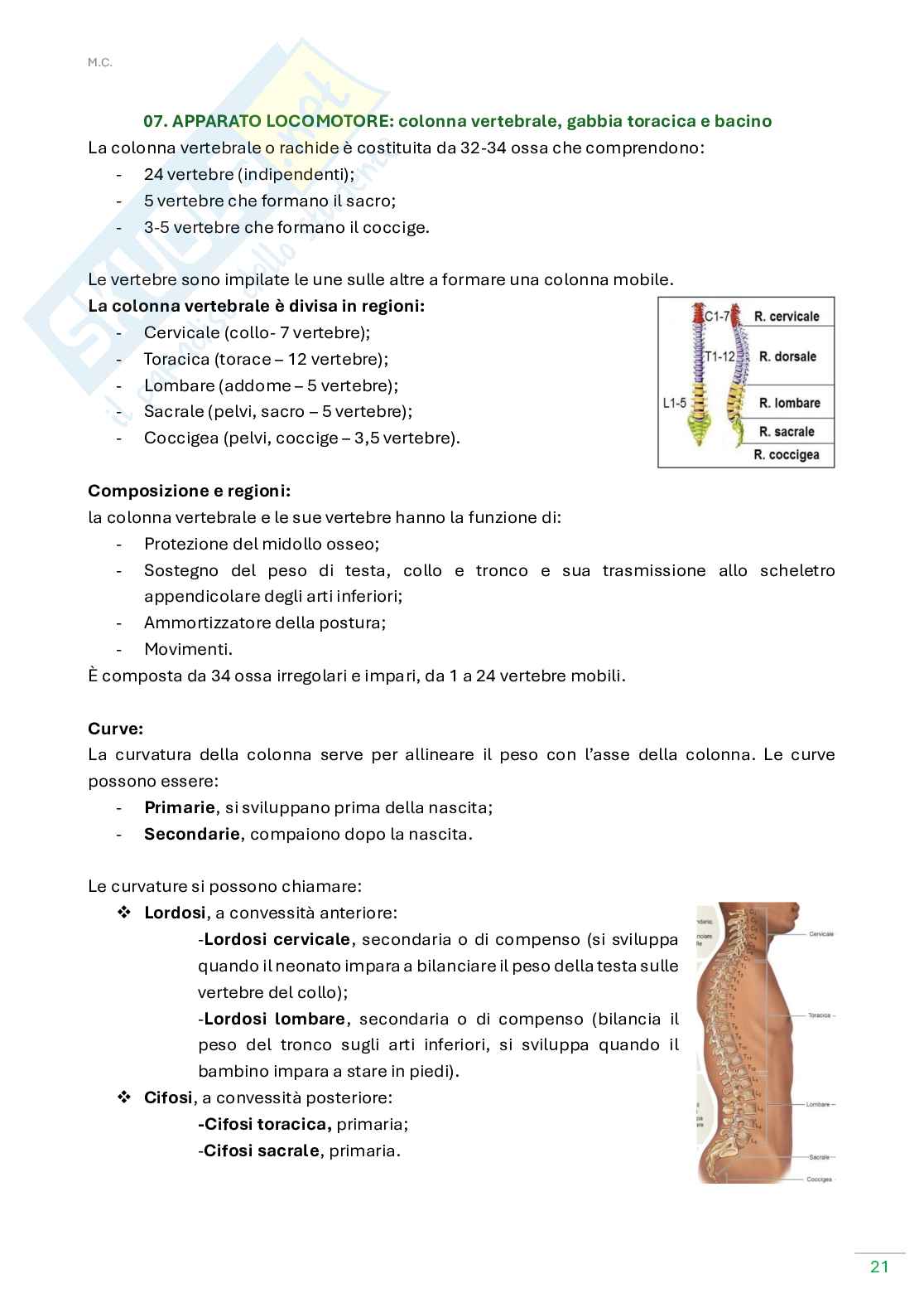 Anatomia umana  Pag. 21
