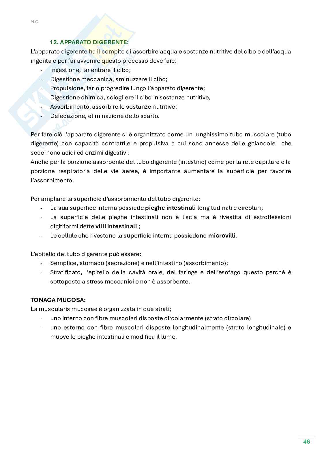 Anatomia umana  Pag. 46