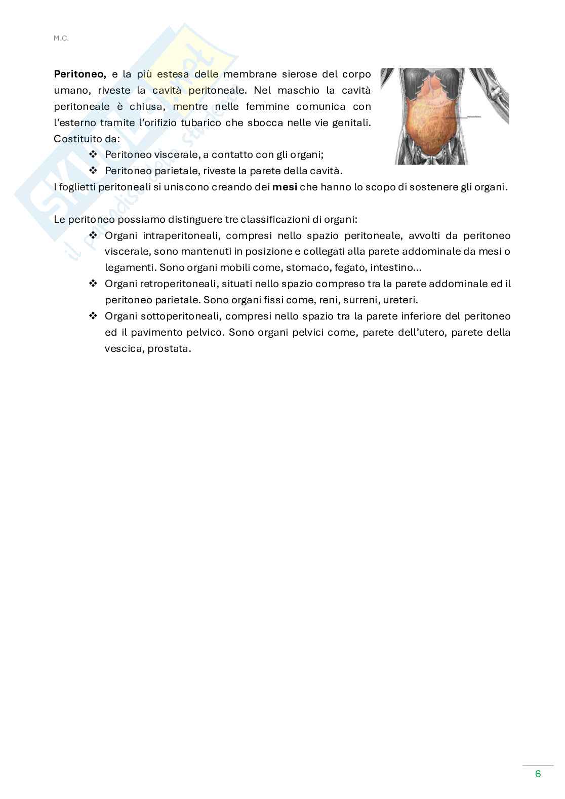 Anatomia umana  Pag. 6