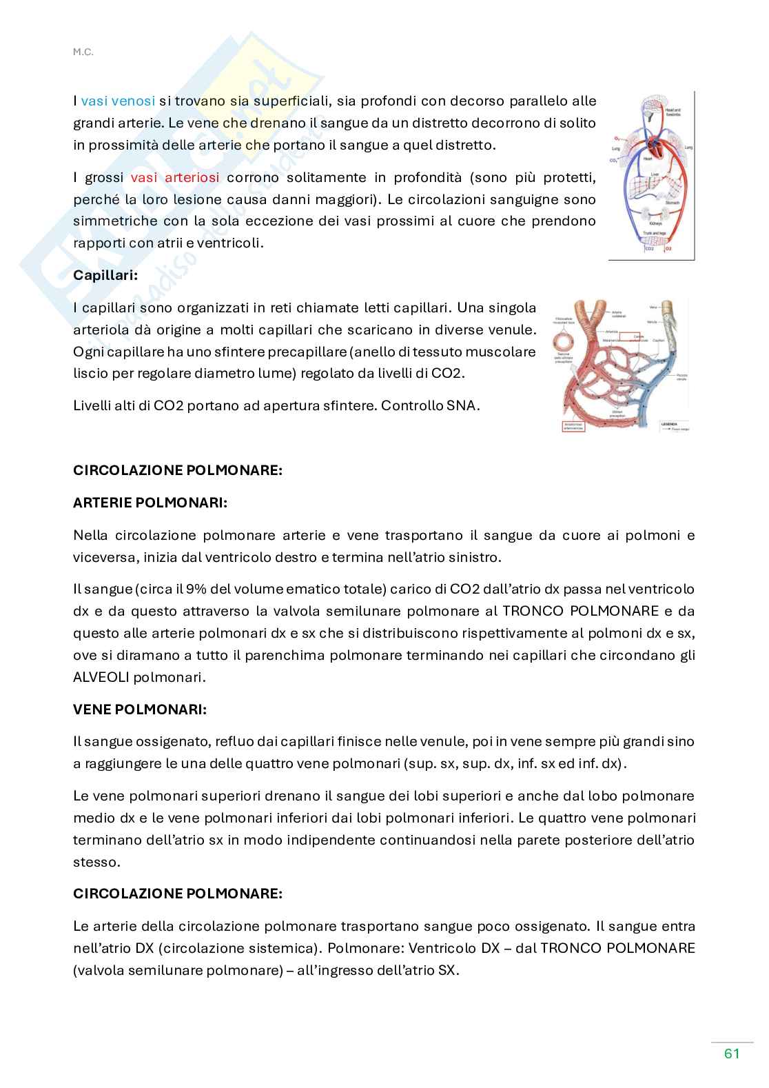 Anatomia umana  Pag. 61