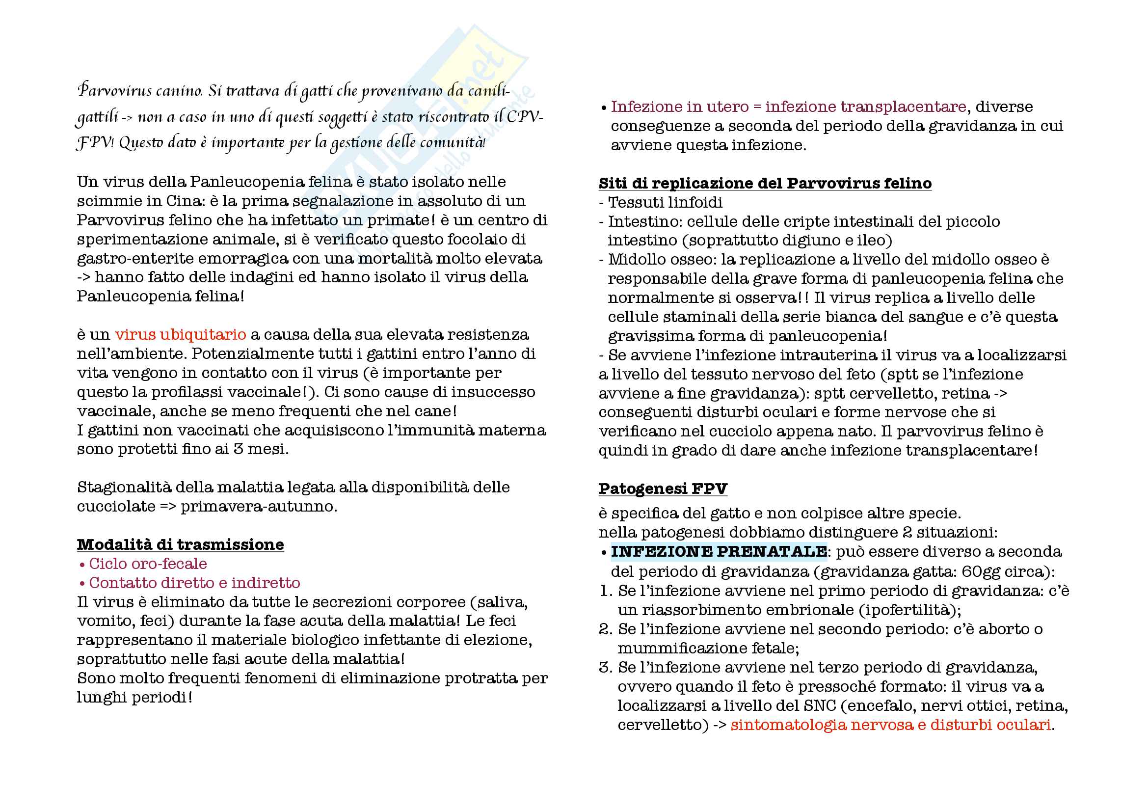 Malattie infettive degli animali da compagnia Pag. 16